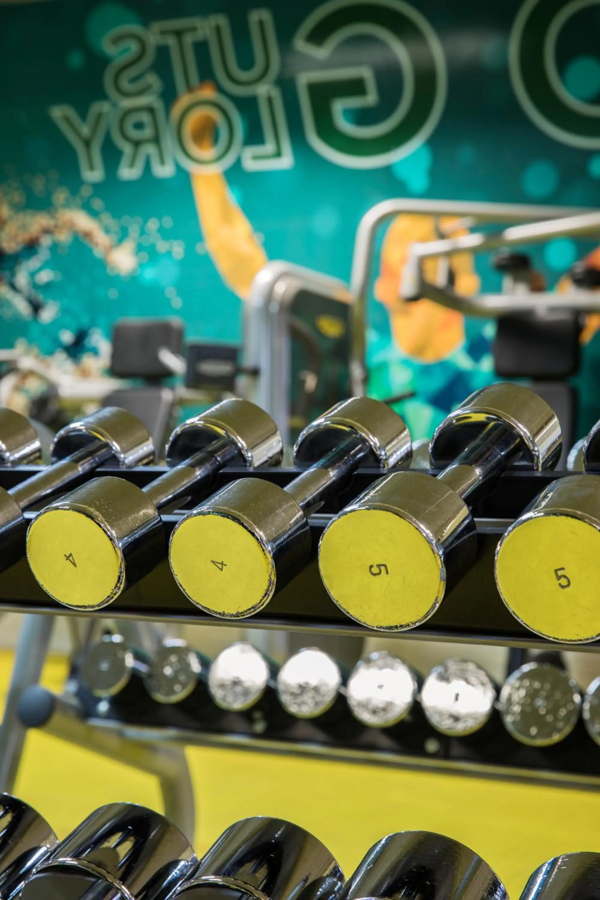 Fitness centre/facilities in The Capital Melrose