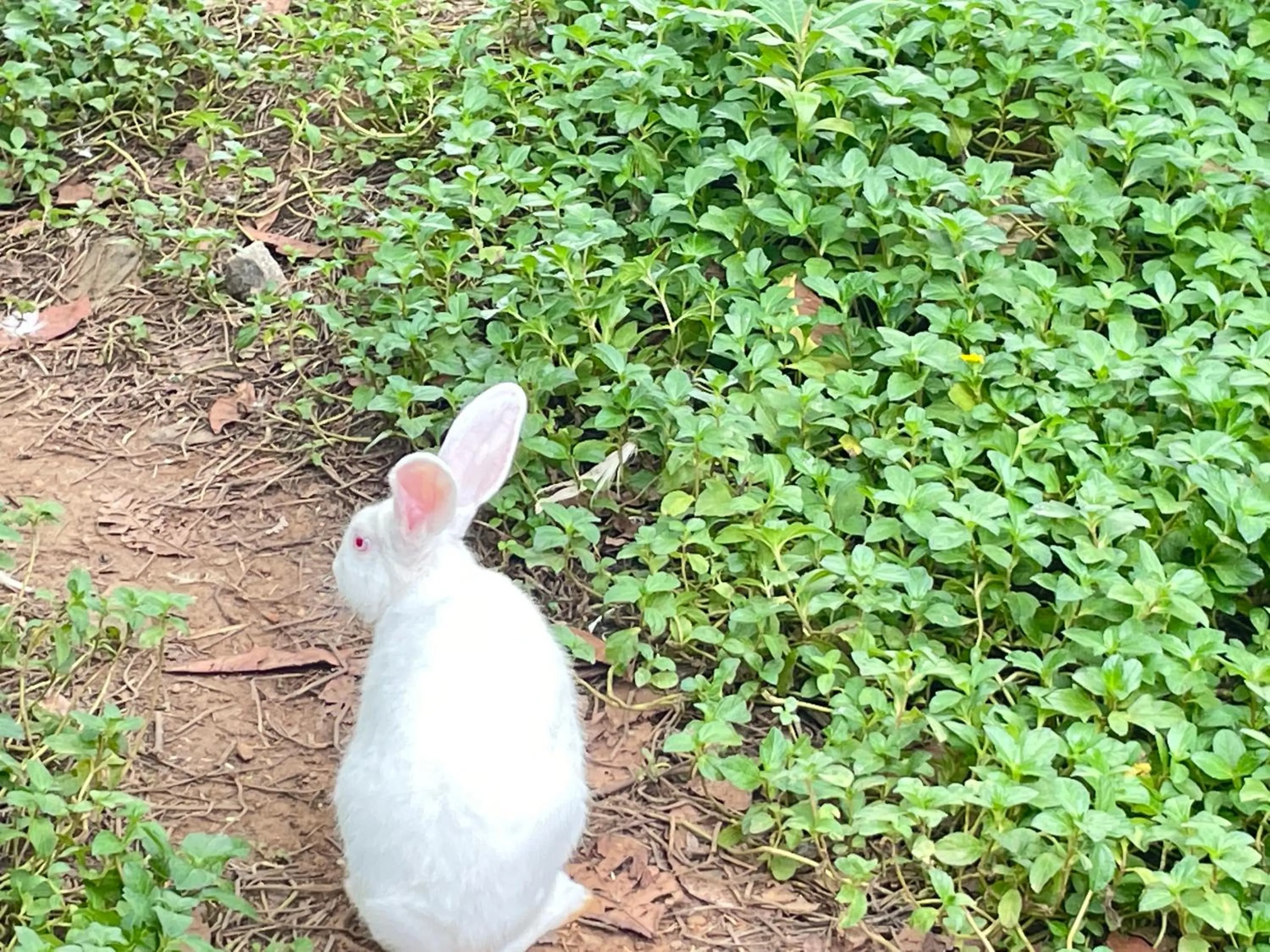 Property building in Chola Heritage Resort