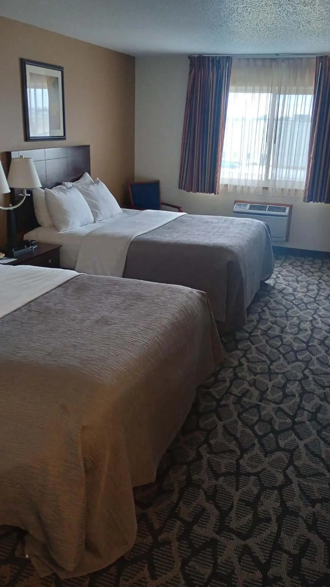 Bed in Quality Inn & Suites Eldridge Davenport North