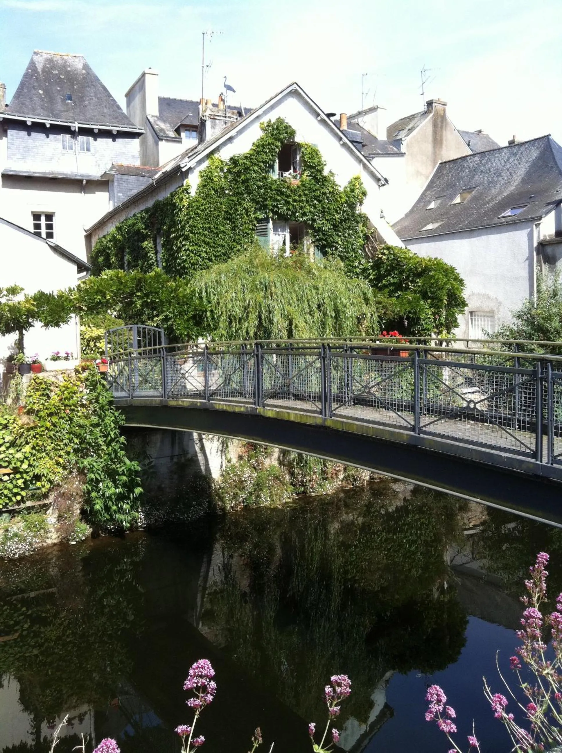 Area and facilities in ibis Quimperle