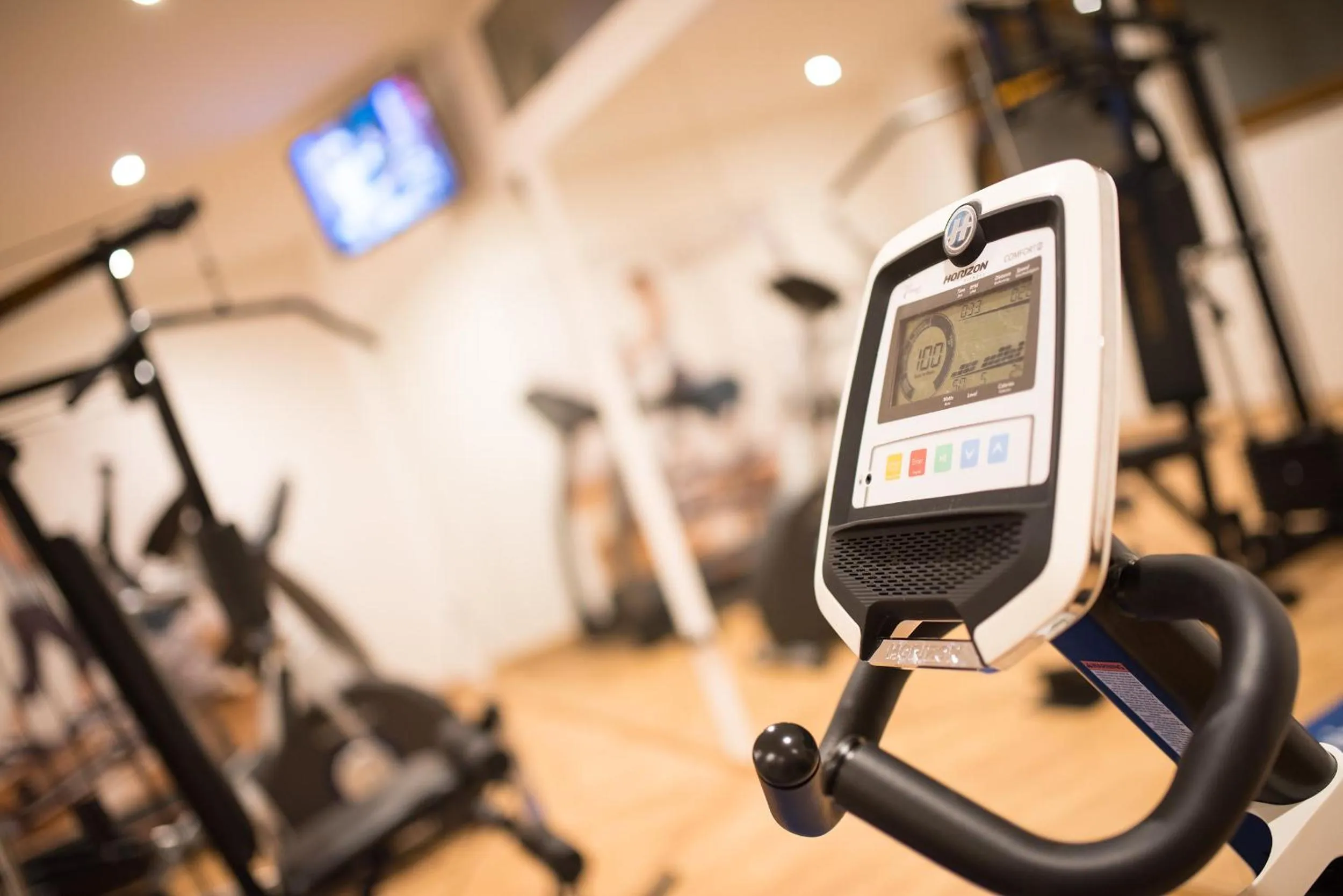 Fitness centre/facilities in Garni Hotel Peterlinhof