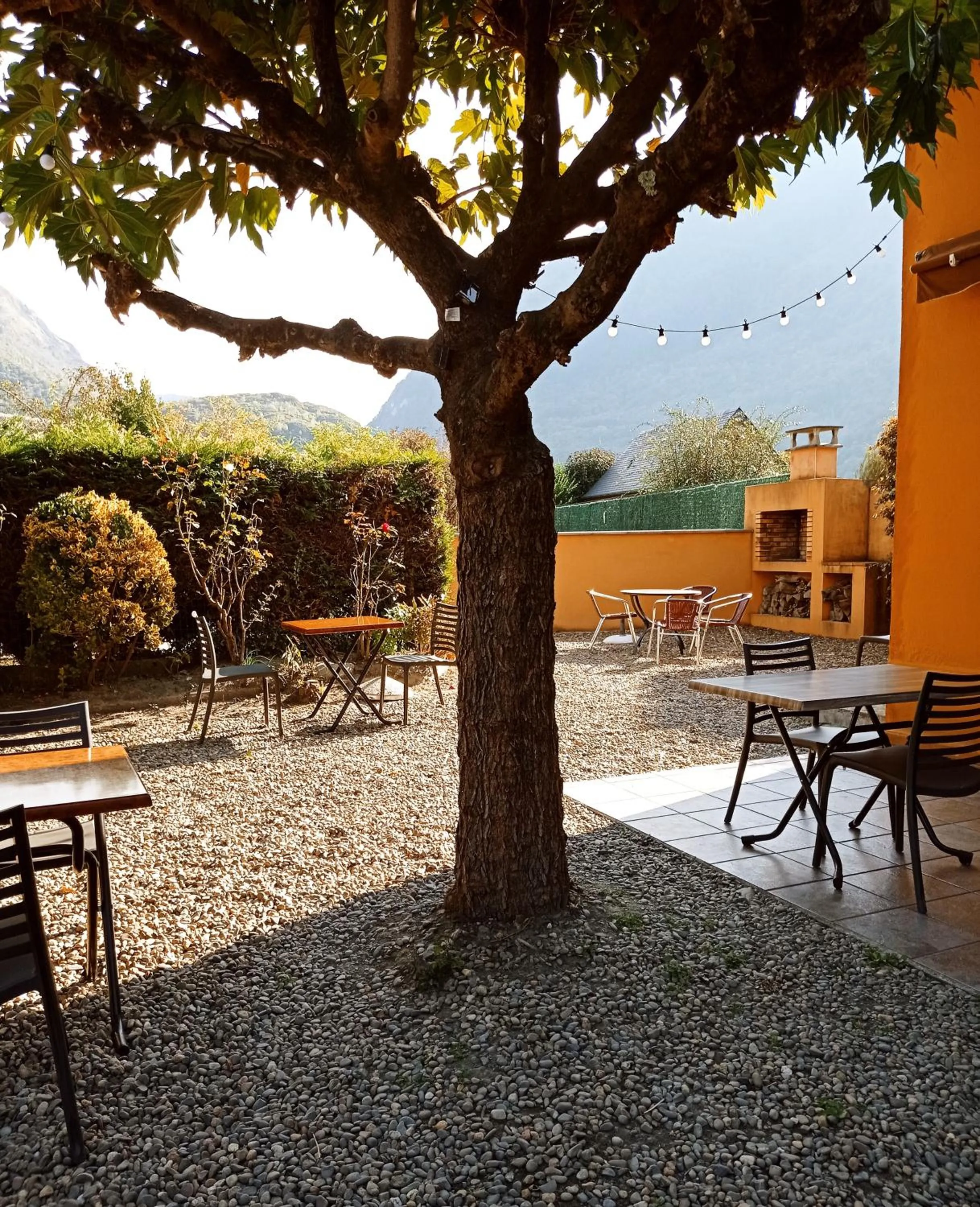 Garden in Hôtel de la Gare