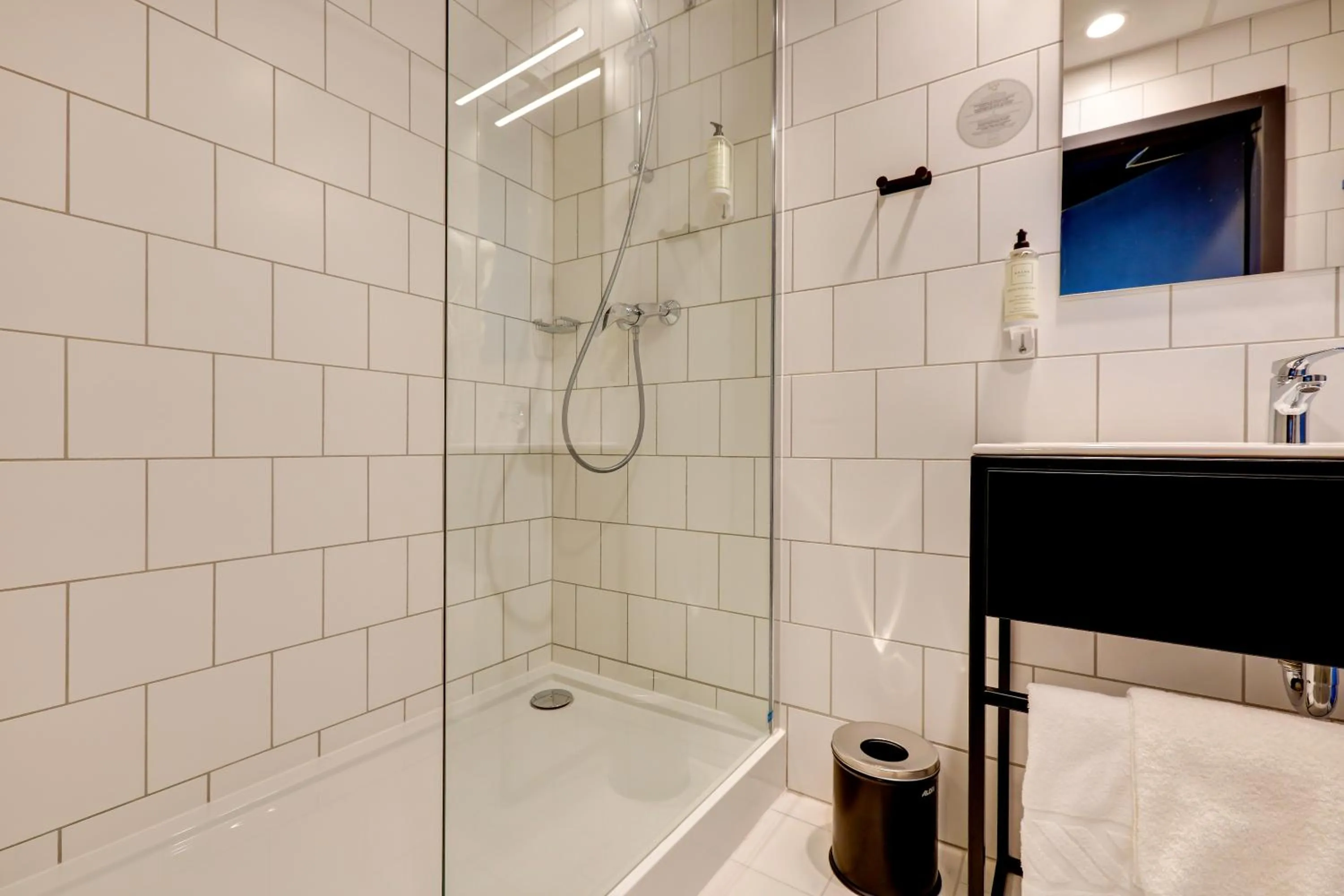 Shower in Hotel Arche Geologiczna