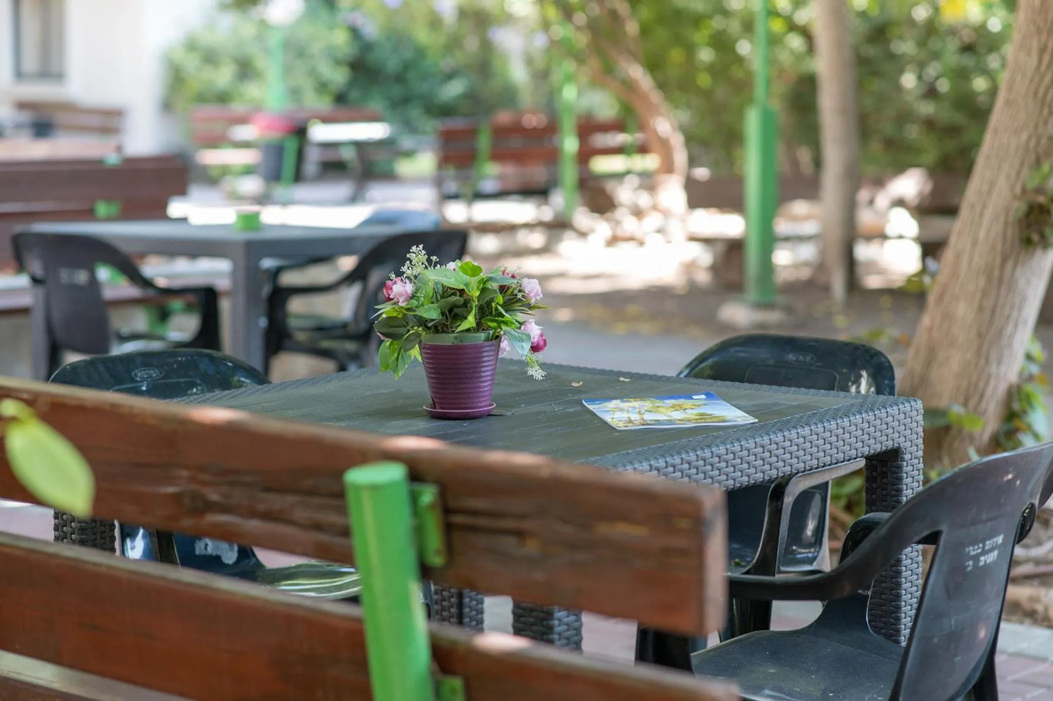 Garden in Degania Bet Kibbutz Country Lodging
