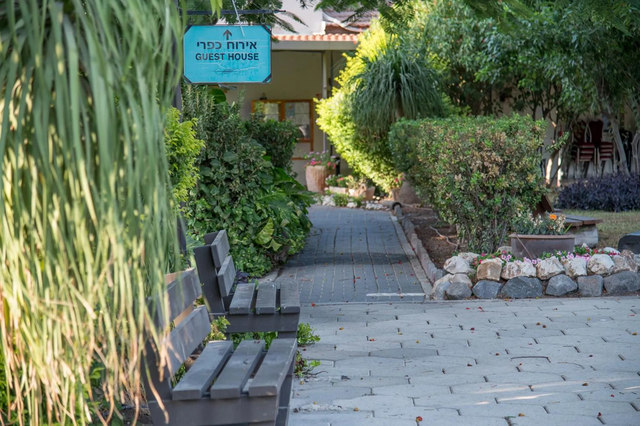Natural landscape in Degania Bet Kibbutz Country Lodging