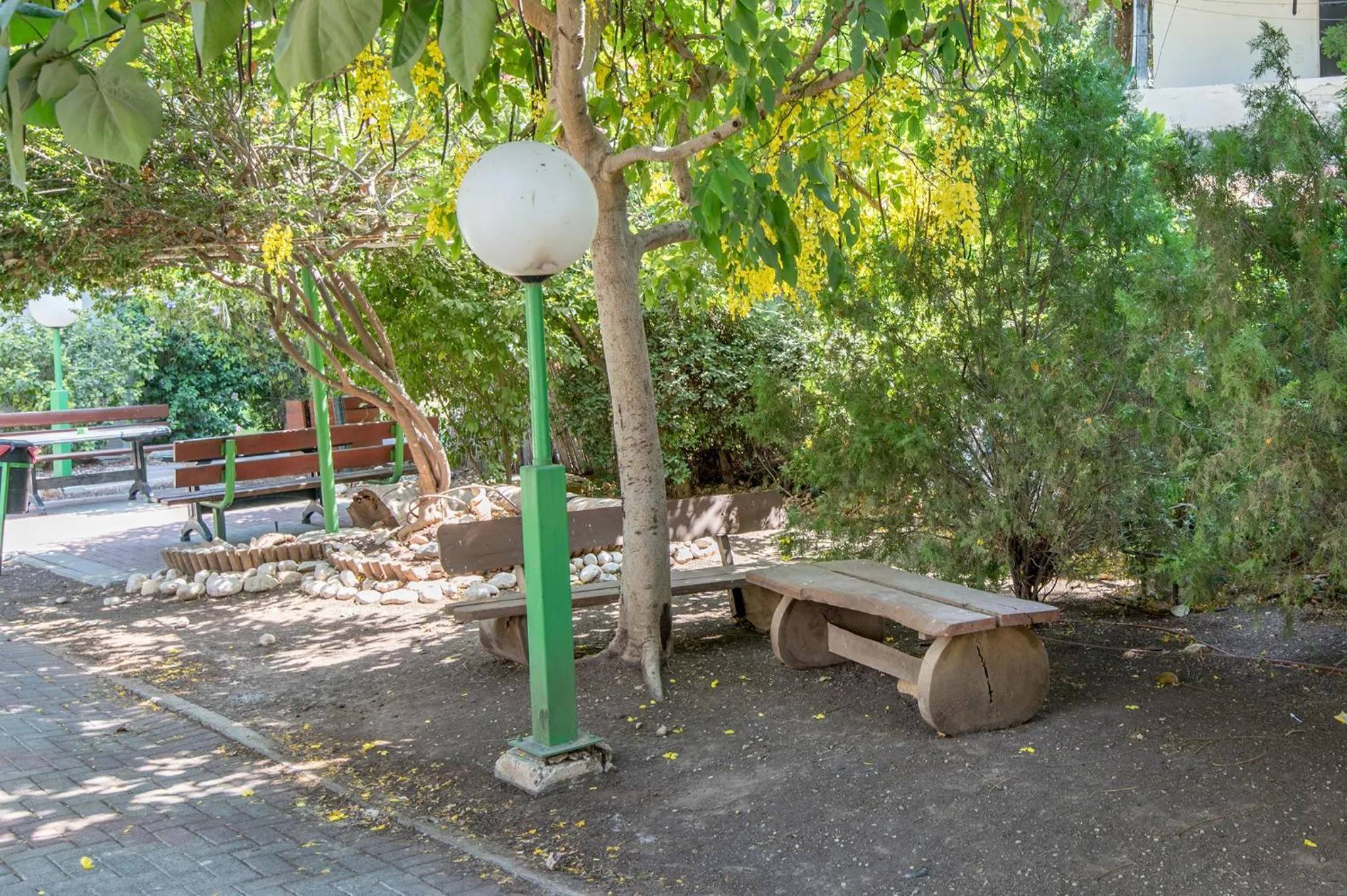 Natural landscape in Degania Bet Kibbutz Country Lodging