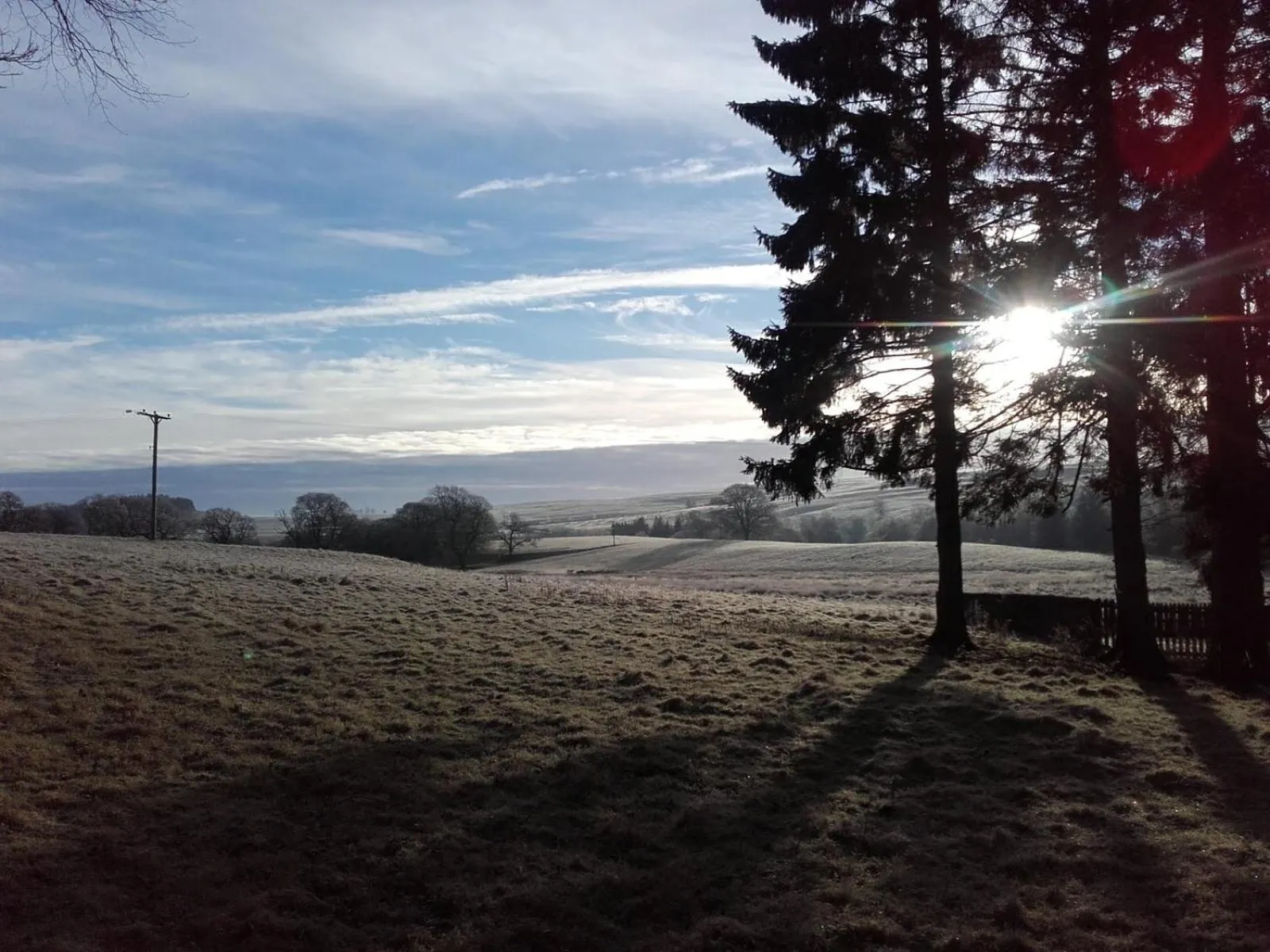 The Barn, Bellingham