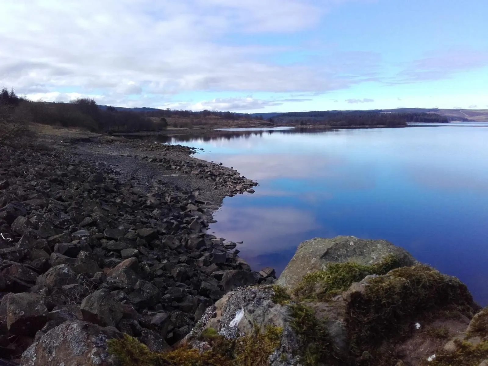 The Barn, Bellingham