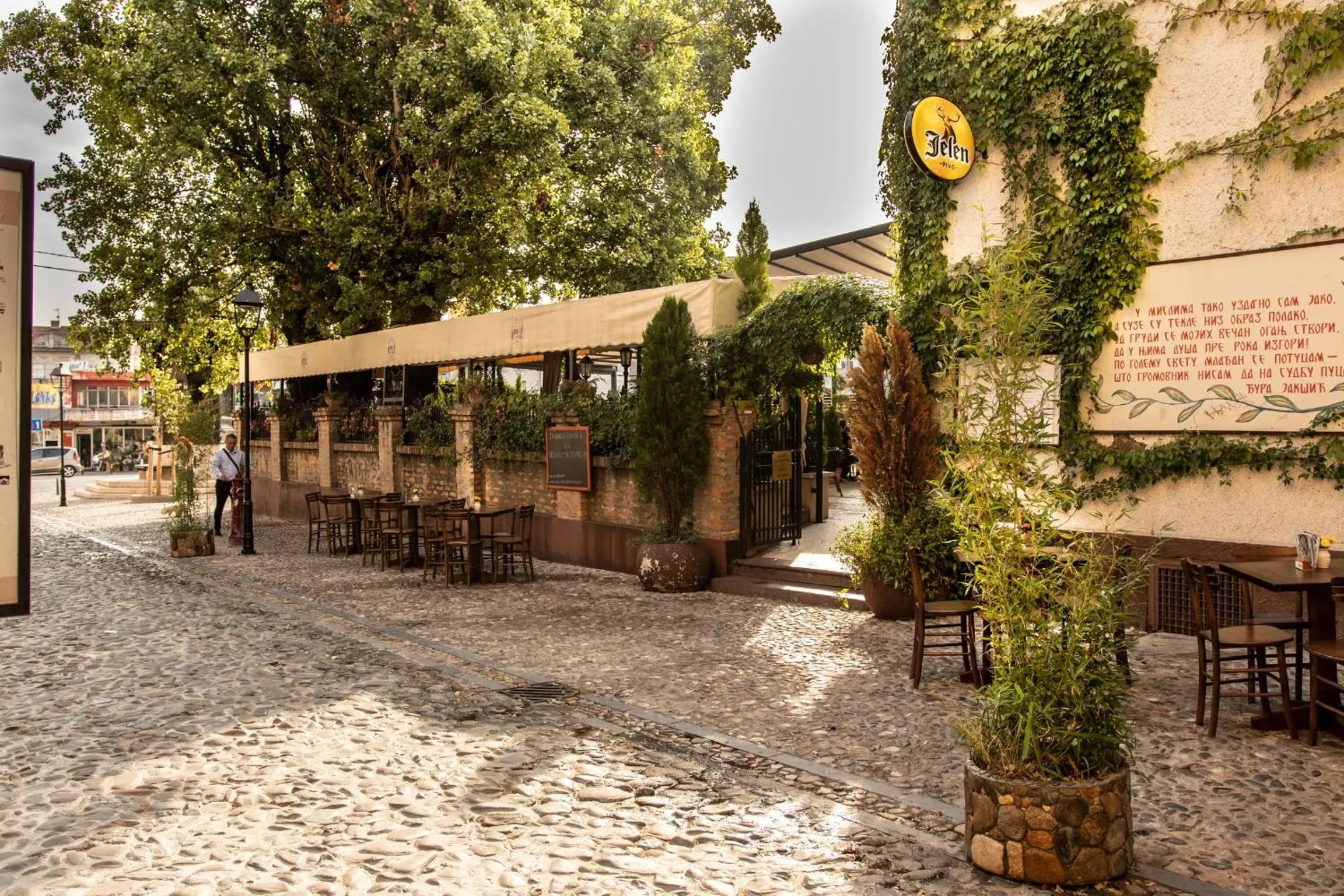 Restaurant/places to eat in Luxury Rooms Skadarlija