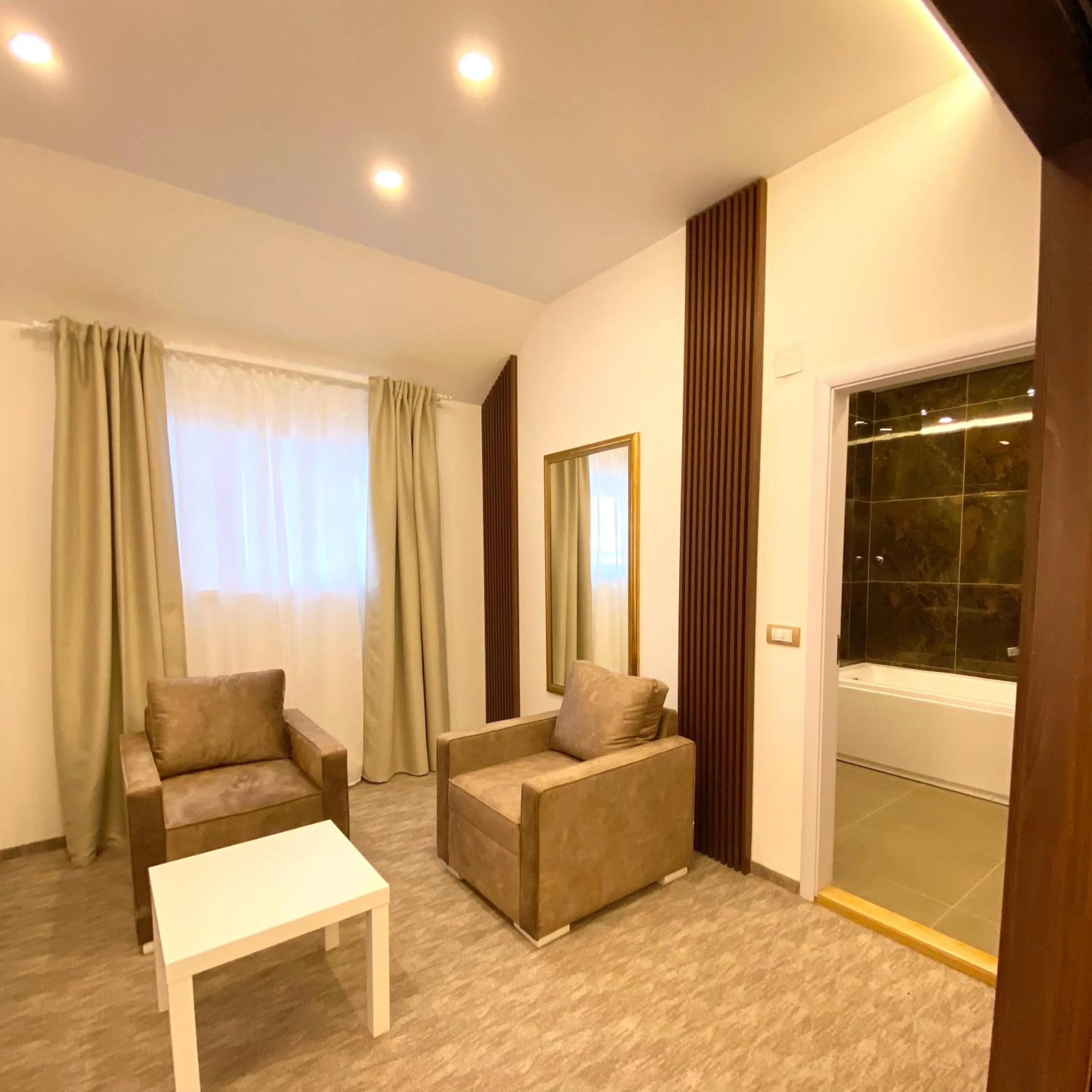 Seating area, Bed in Luxury Rooms Skadarlija