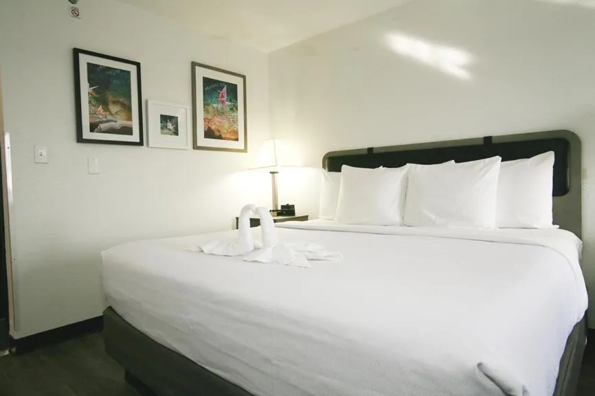 Bed in La Quinta by Wyndham Des Moines West Clive