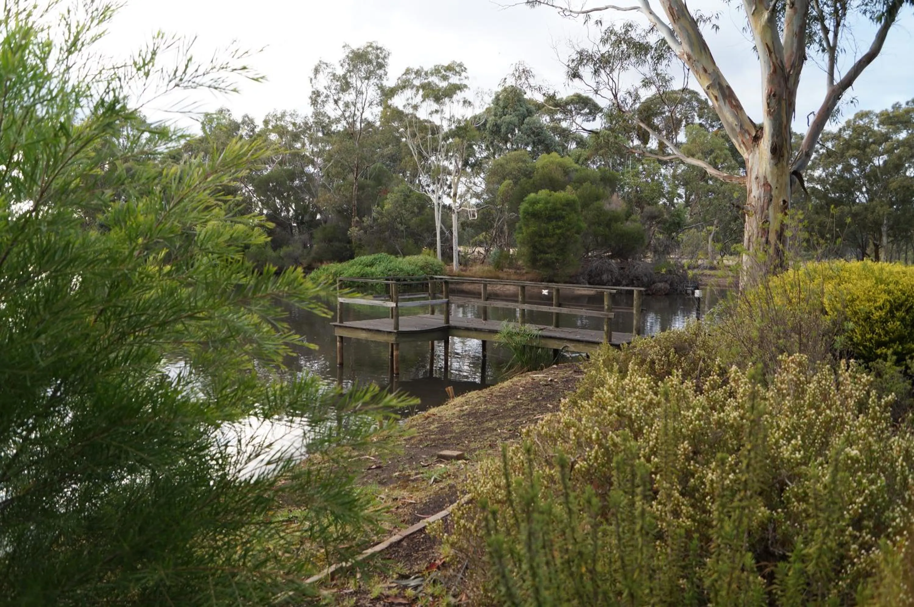 Garden in Magdala Motor Lodge & Lakeside Restaurant