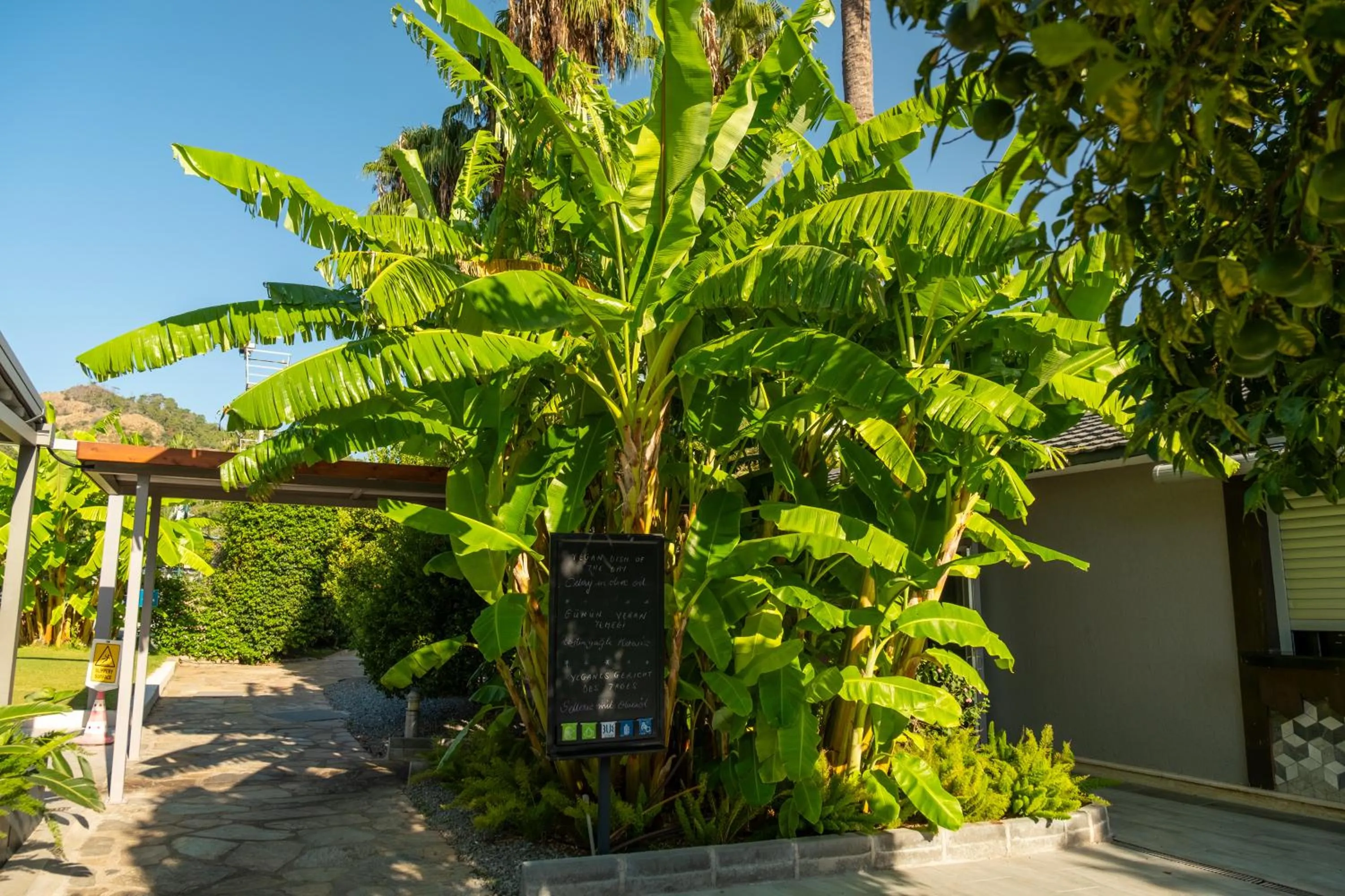 Spring in TUI BLUE Grand Azur