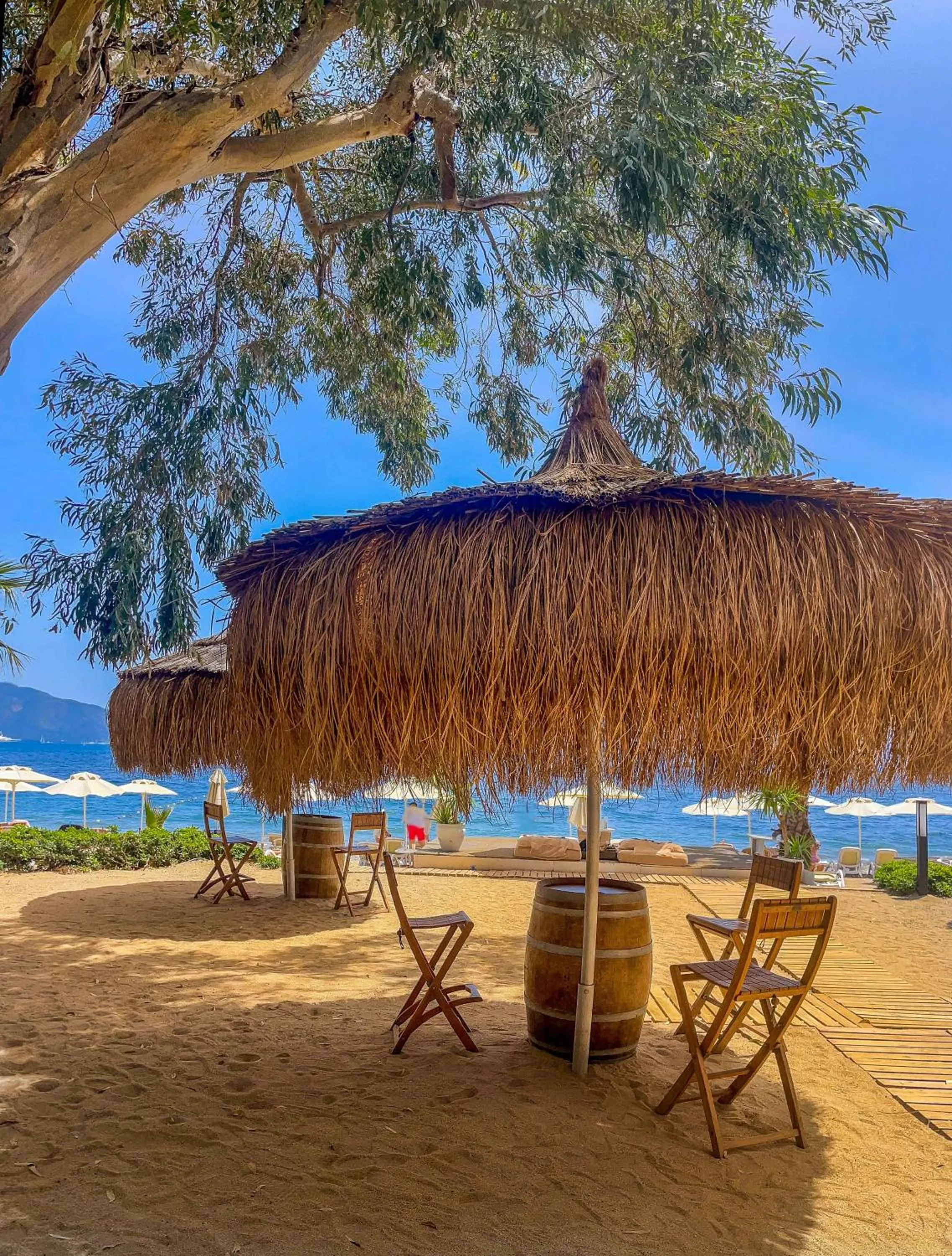 Beach in TUI BLUE Grand Azur