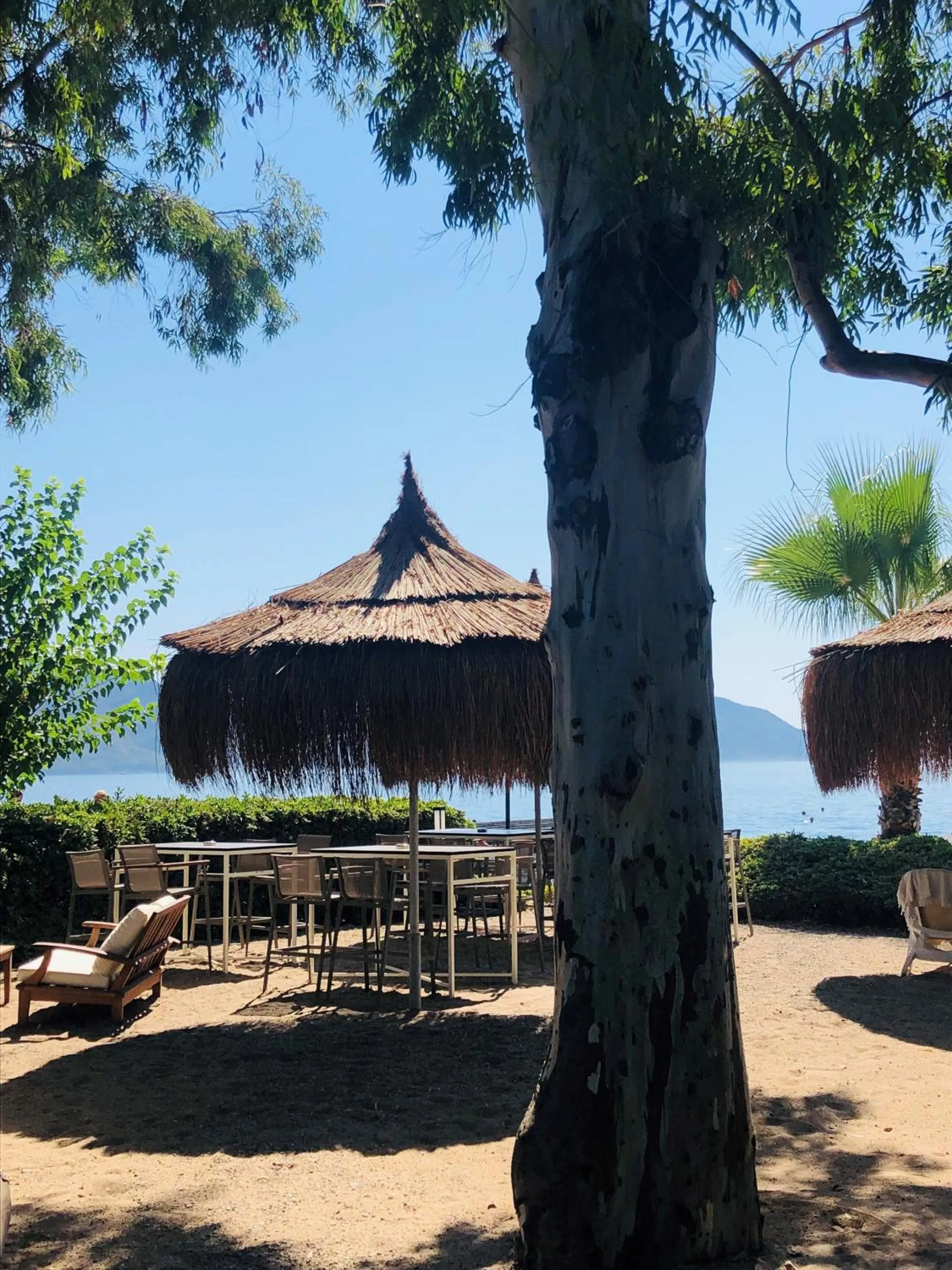 Day in TUI BLUE Grand Azur