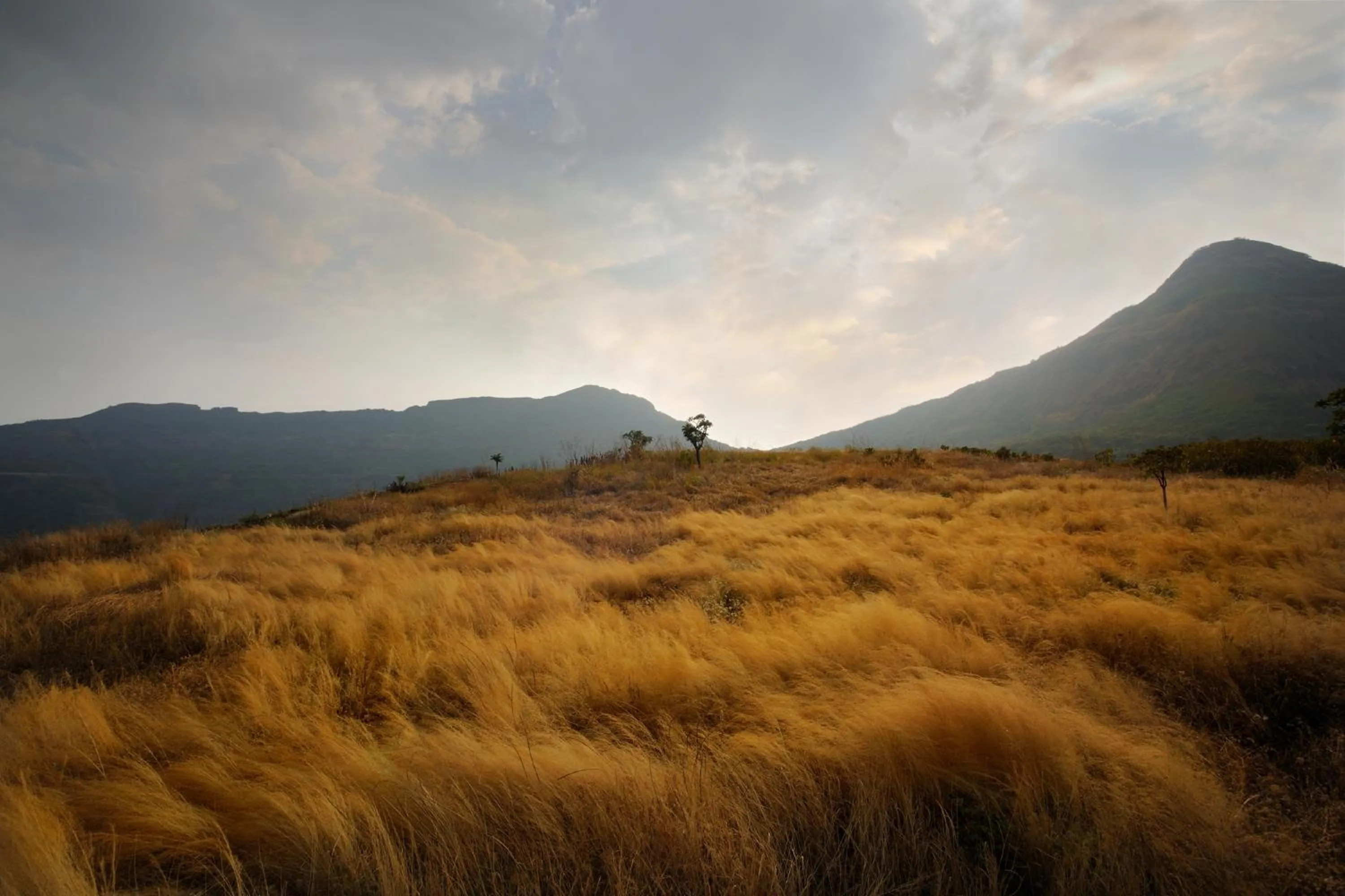 Natural landscape in Dharana at Shillim All Inclusive Luxury Wellness Retreat