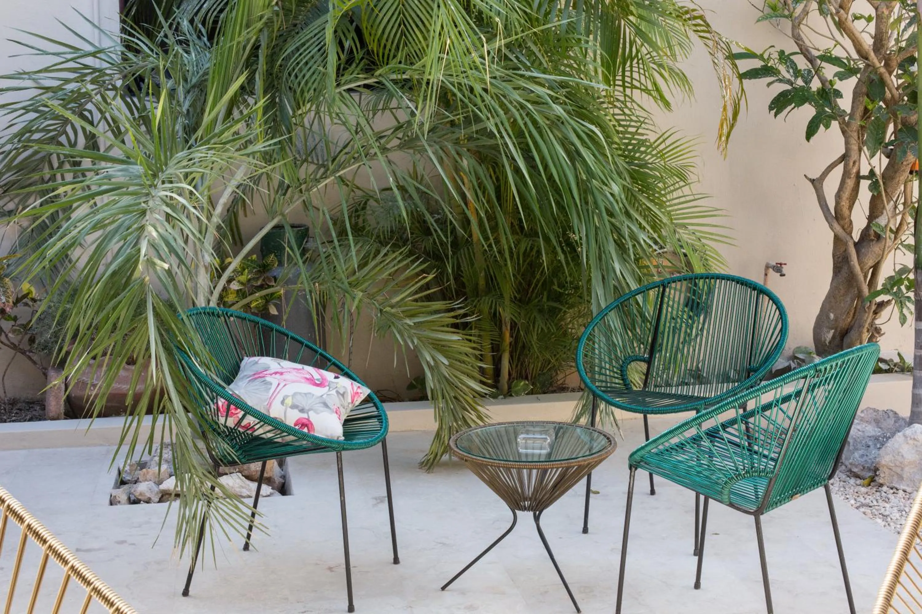 Balcony/Terrace in Kuka y Naranjo