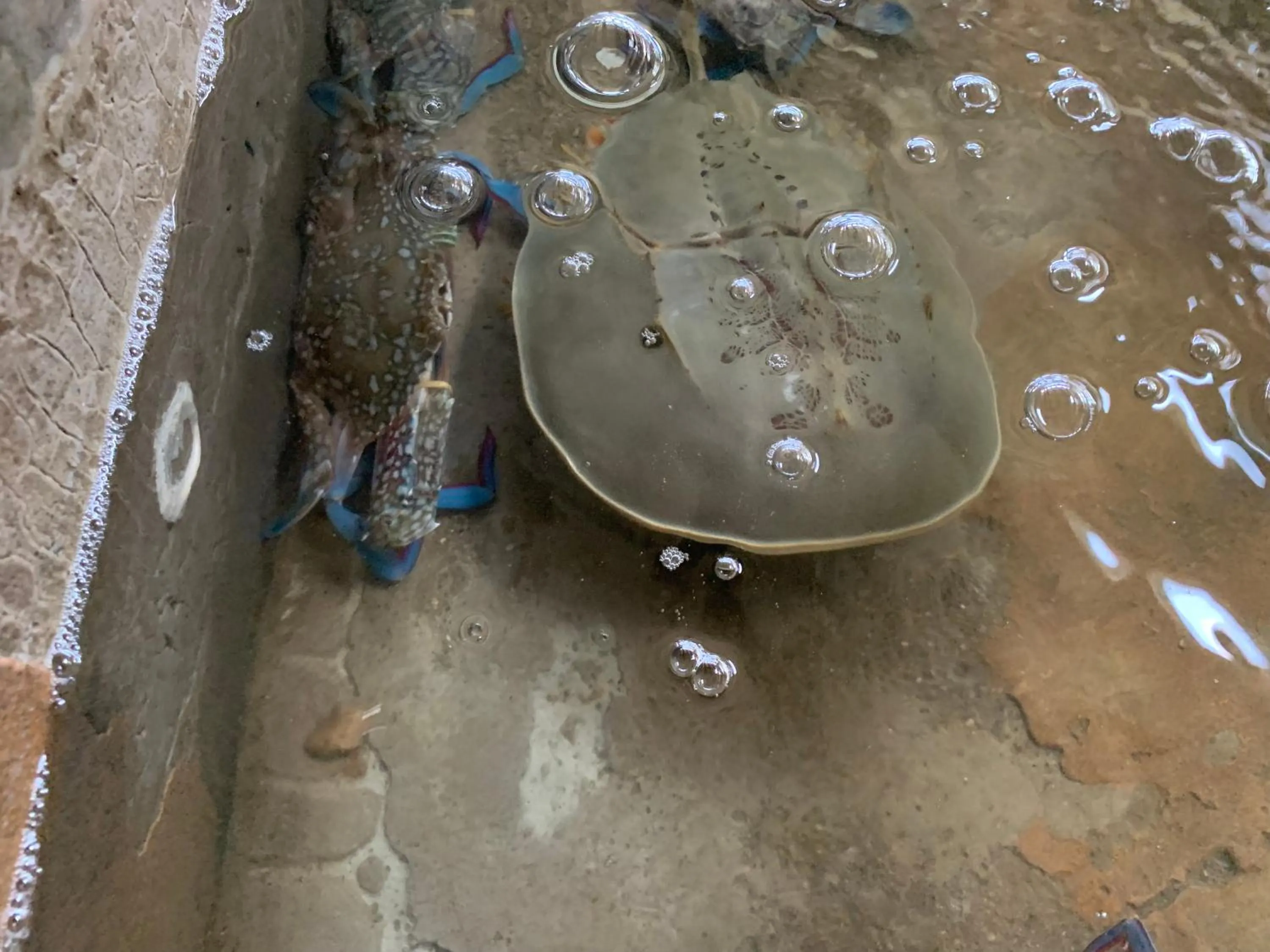 Nearby landmark in Horizon Beach Resort Koh Jum