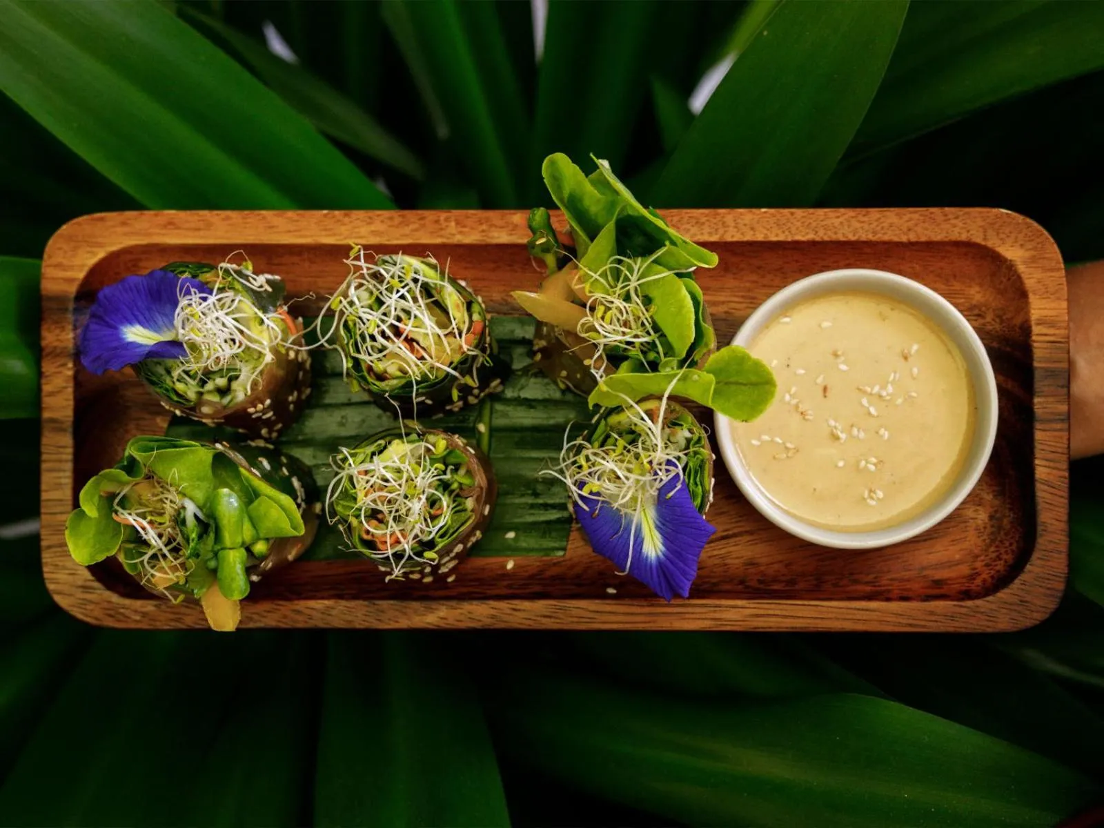 Restaurant/places to eat in CC's Hideaway Kata - SHA Plus