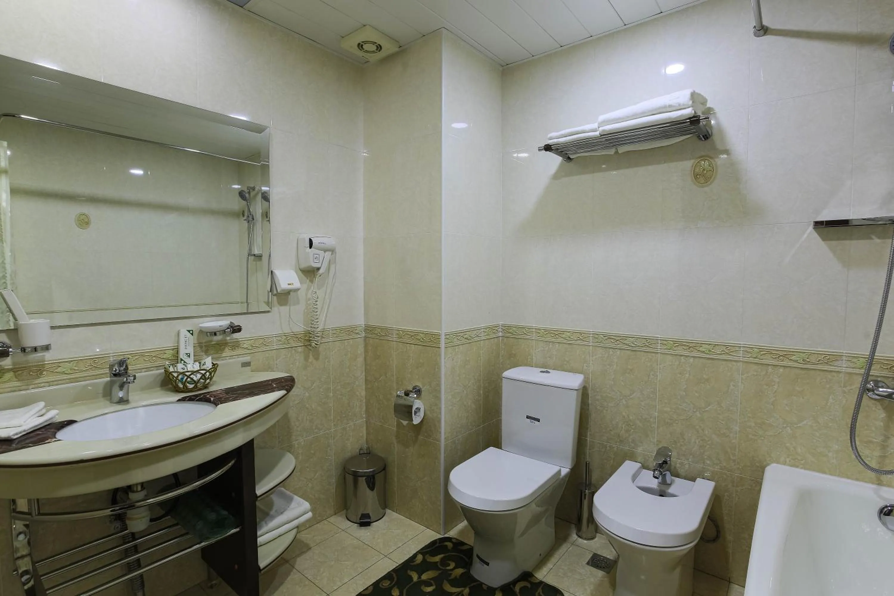 Bathroom in Zargaron Plaza