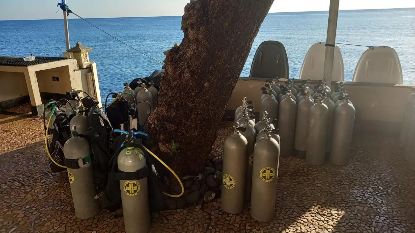 Diving in Tauch Terminal Resort Tulamben & Spa