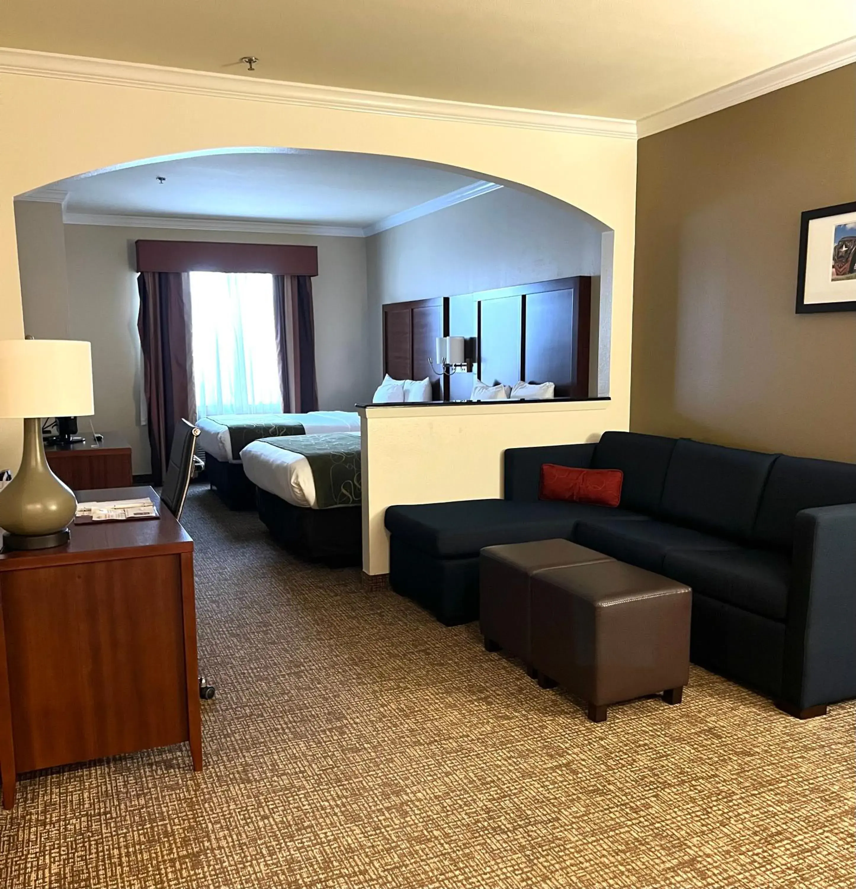 Queen Suite with Sofa Bed - Mobility Accessible/Non-Smoking in Comfort Suites Texas Ave Queen Suite with Sofa Bed - Mobility Accessible/Non-Smoking in Comfort Suites Texas Ave