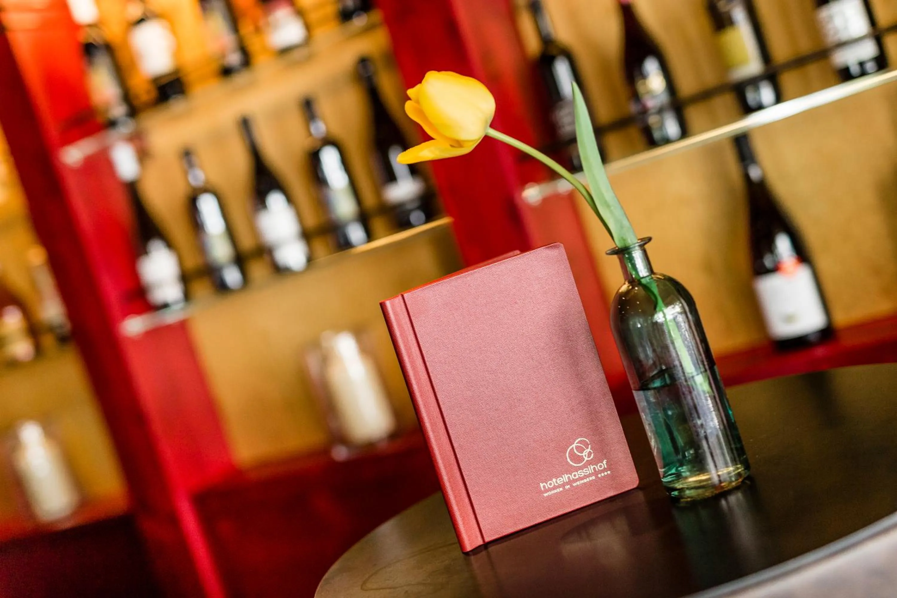 Lounge or bar in Hotel Hasslhof