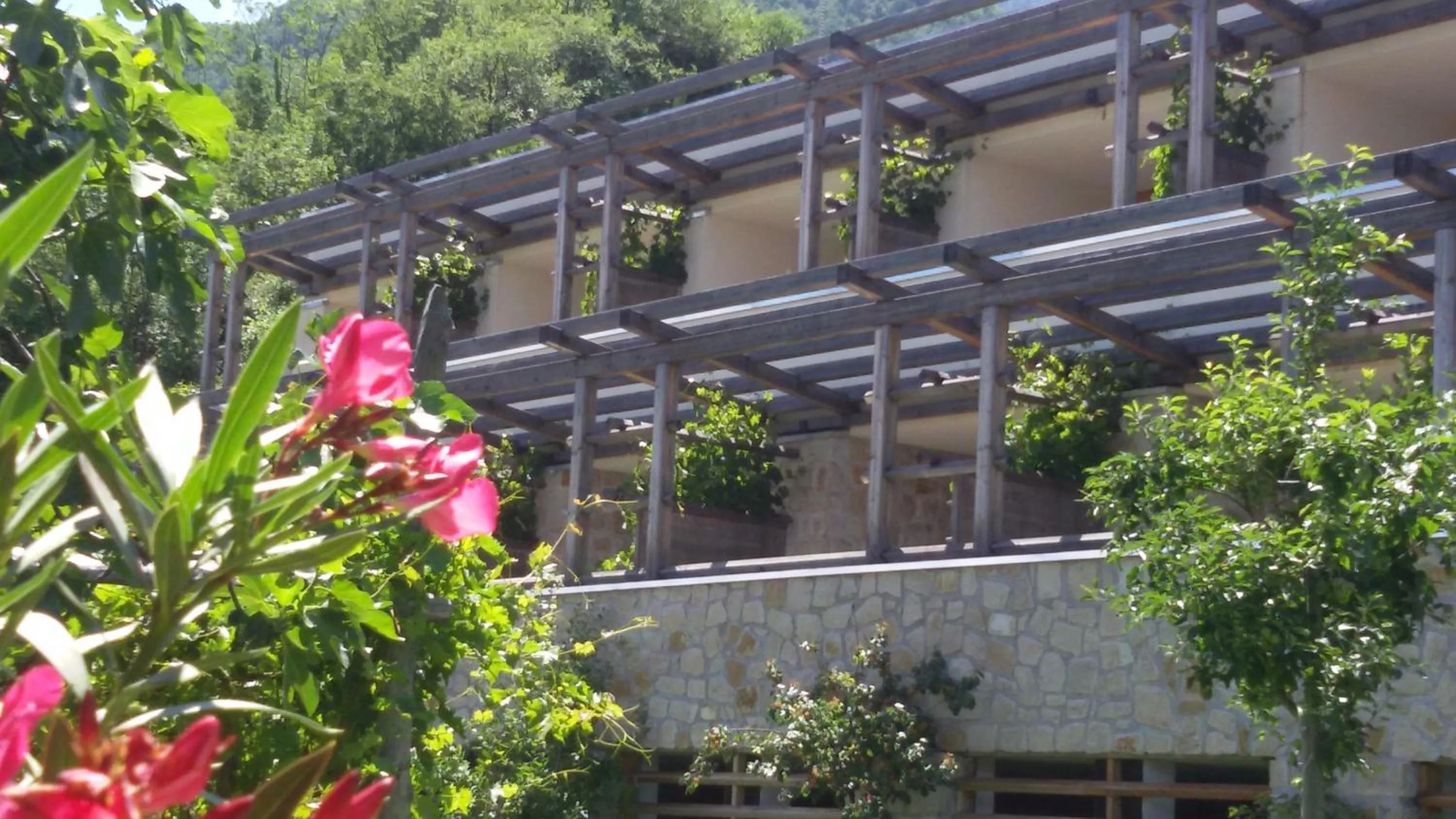 Facade/entrance in Hotel Hasslhof