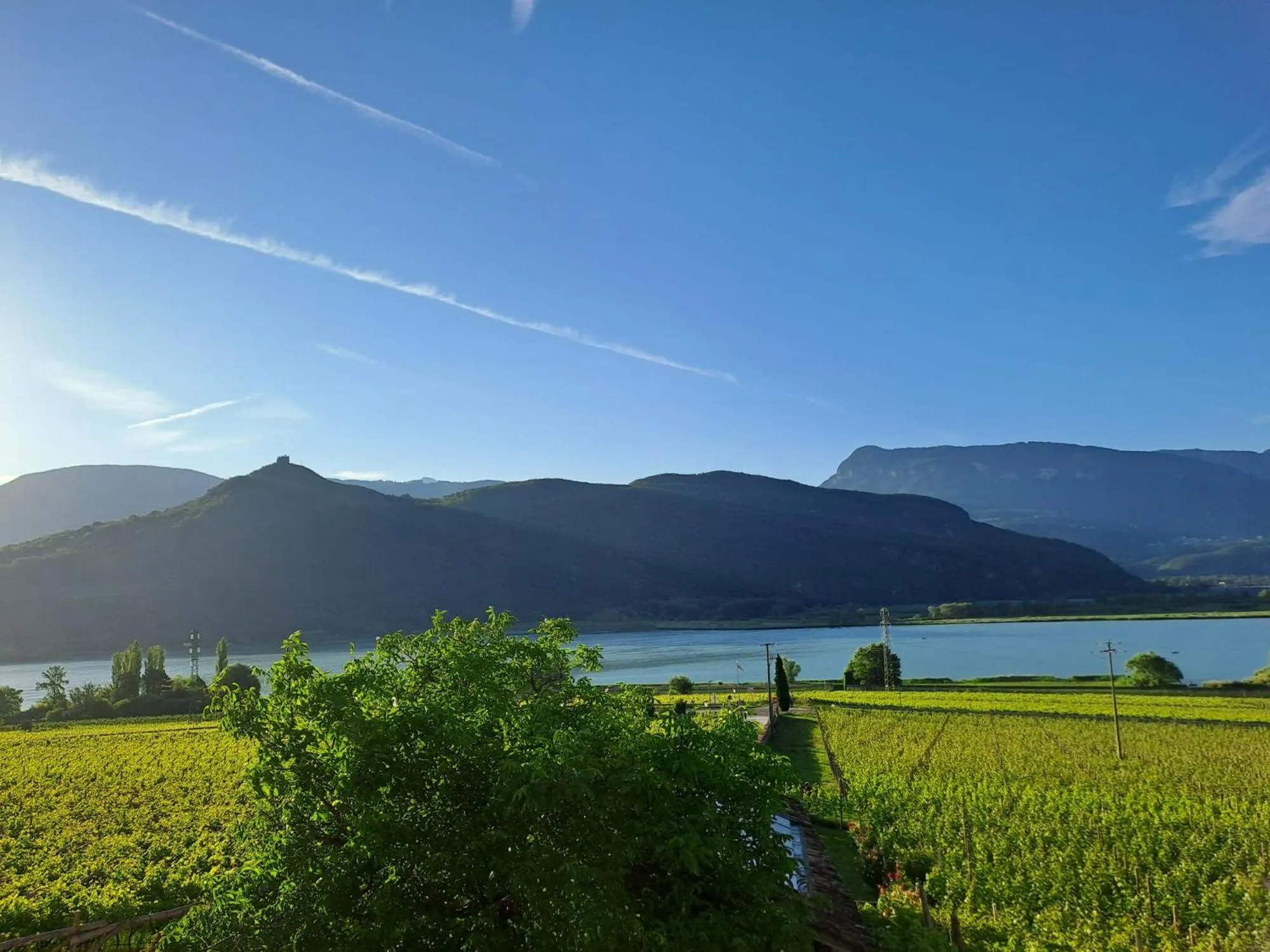 View (from property/room) in Hotel Hasslhof