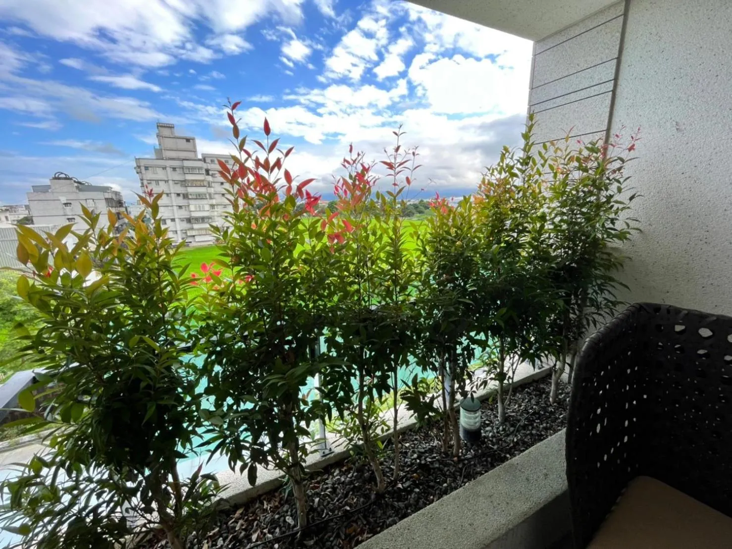 View (from property/room) in Tsang Kuo Resort