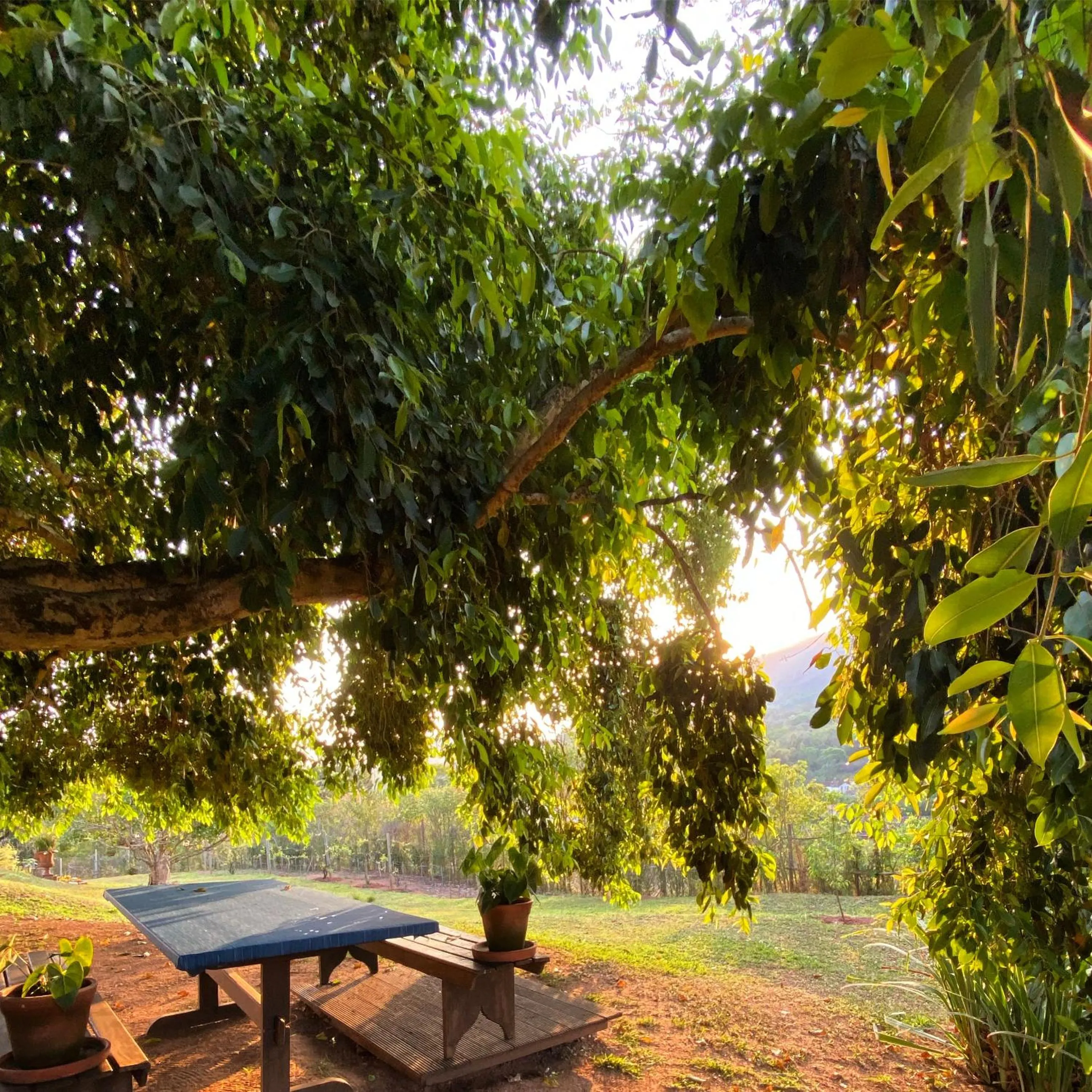 Spring in Segredo da Serra Guest House