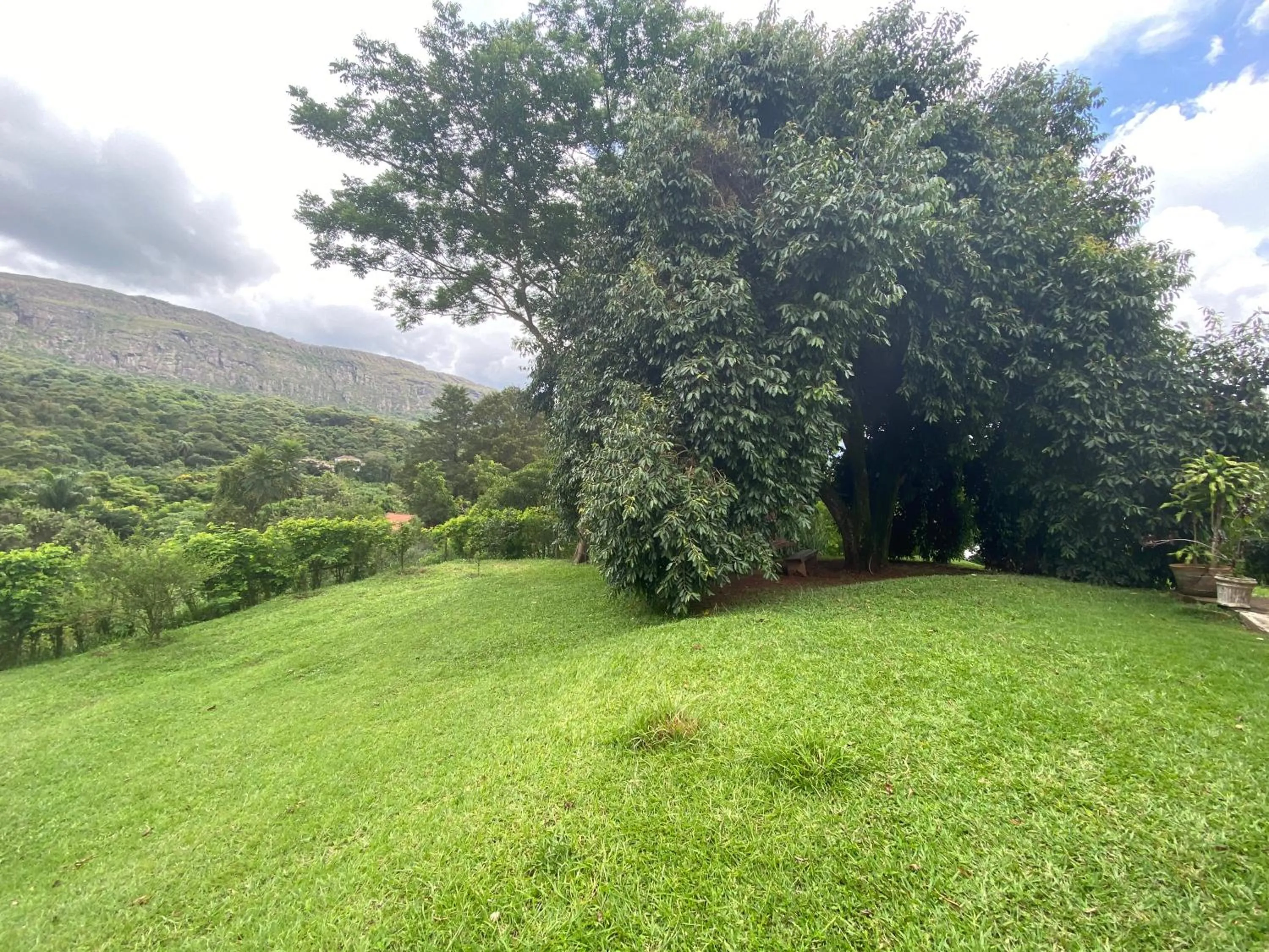 Spring in Segredo da Serra Guest House