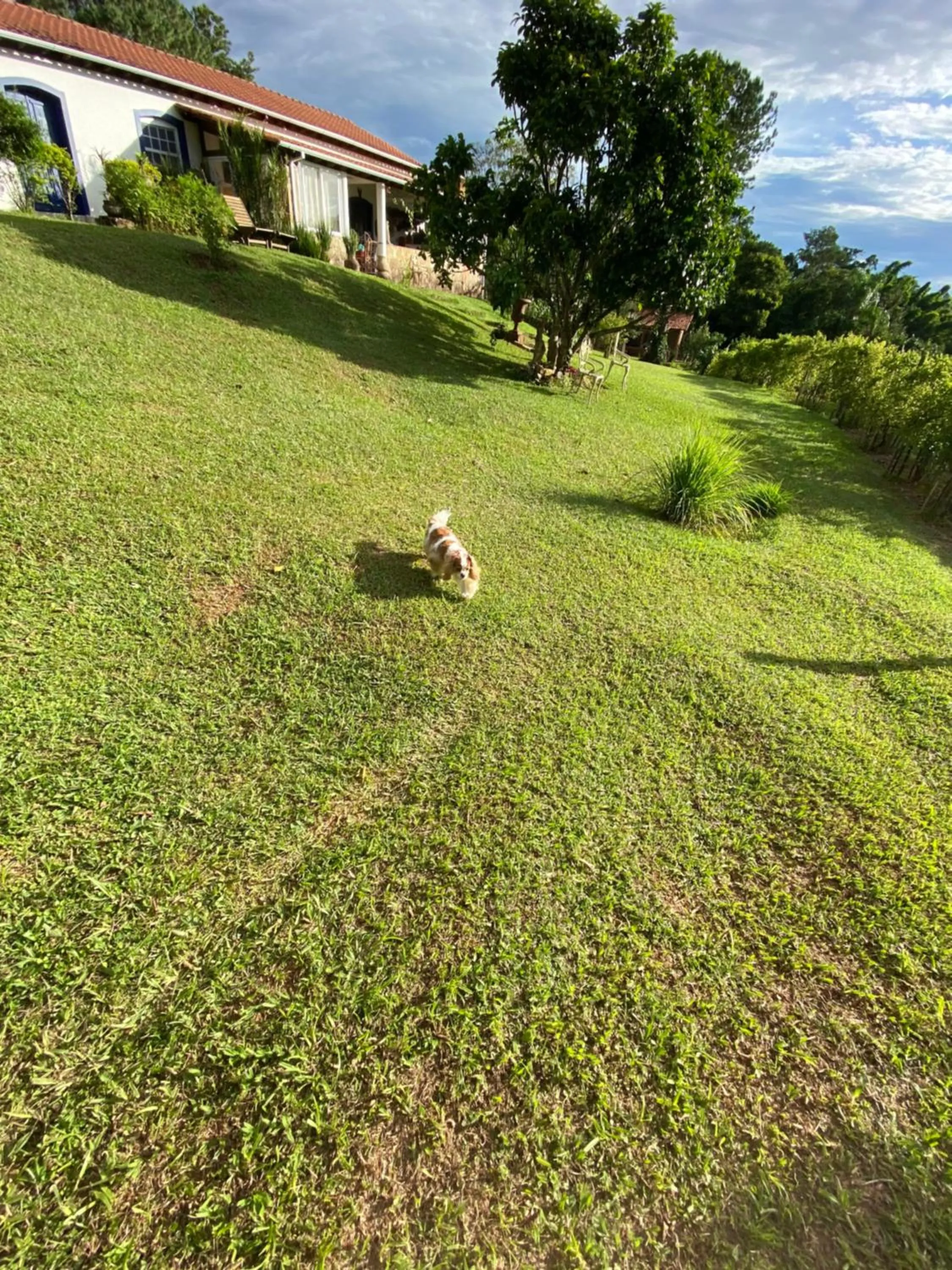 Property building in Segredo da Serra Guest House