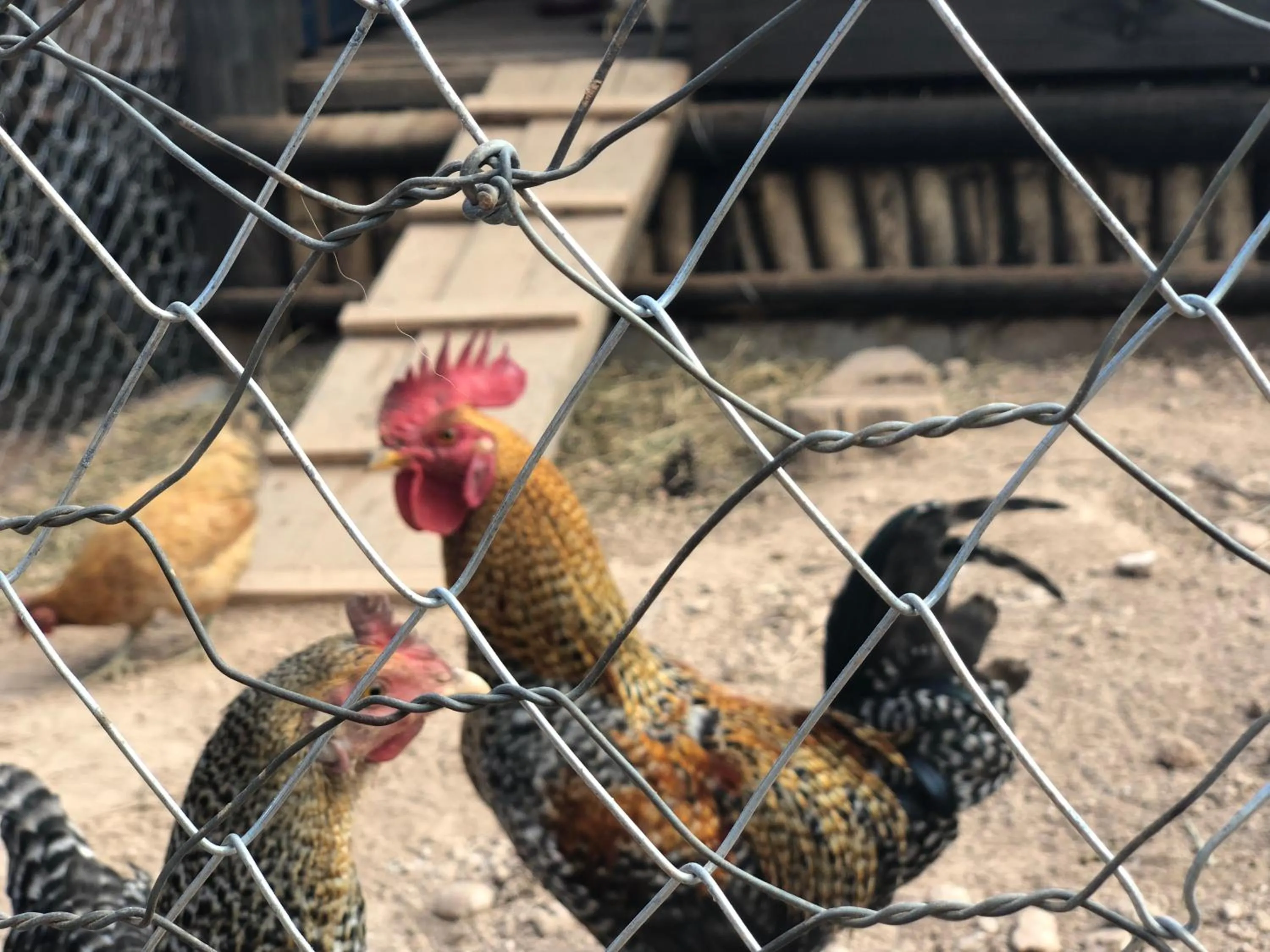 Property building in Segredo da Serra Guest House