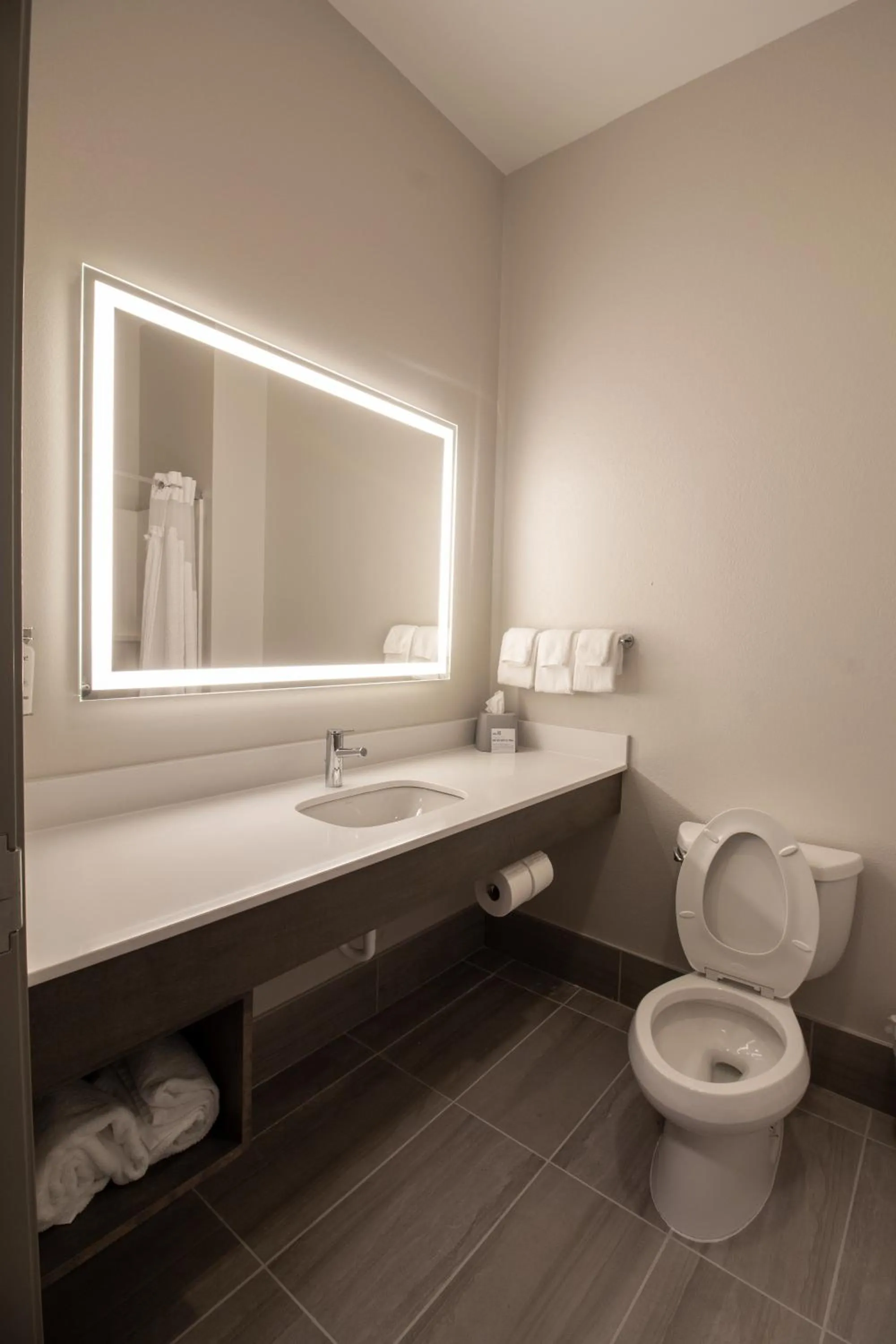 Bathroom in Holiday Inn Express Leland - Wilmington Area by IHG