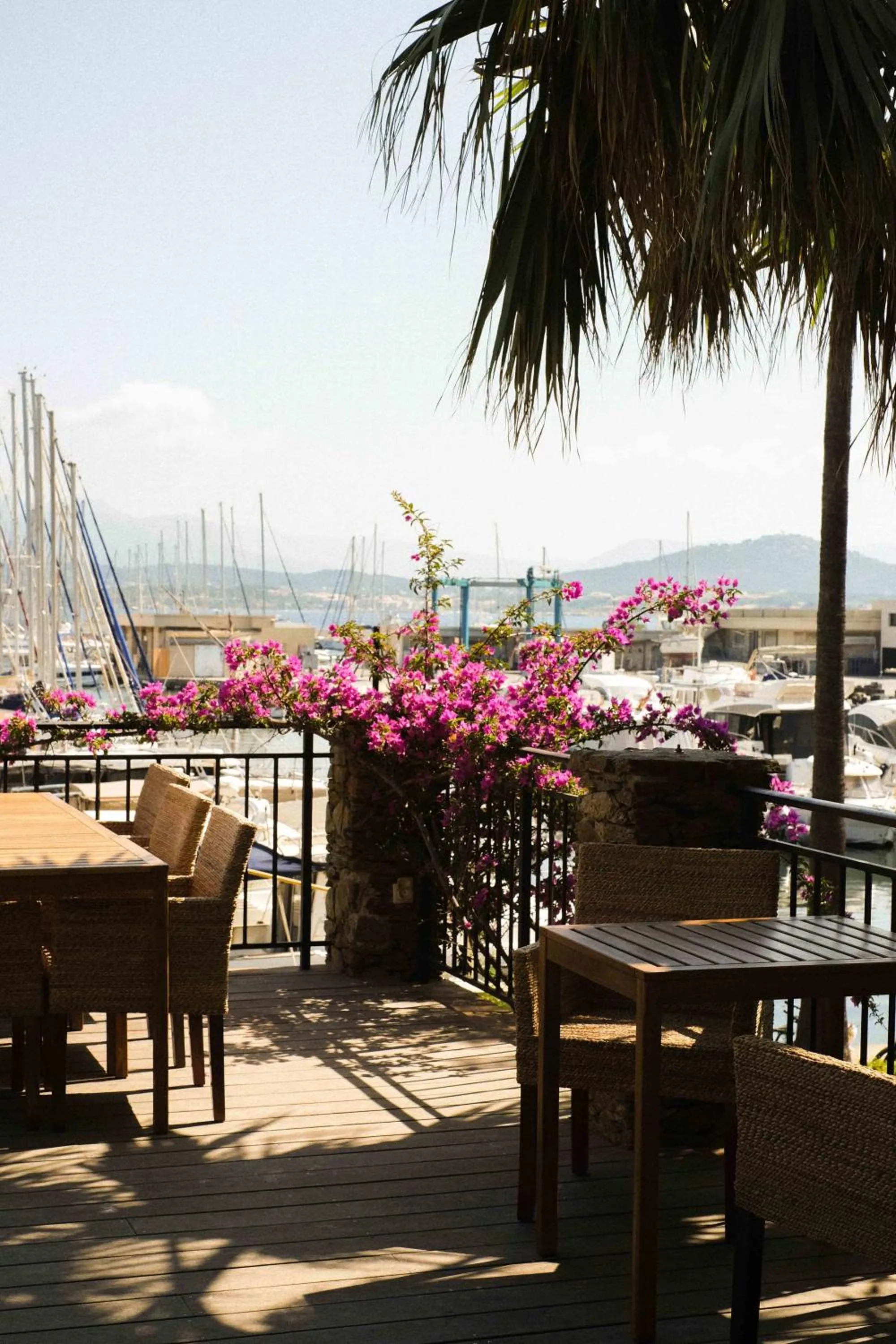 Restaurant/places to eat in Hôtel Helios & SPA - Ile des Embiez