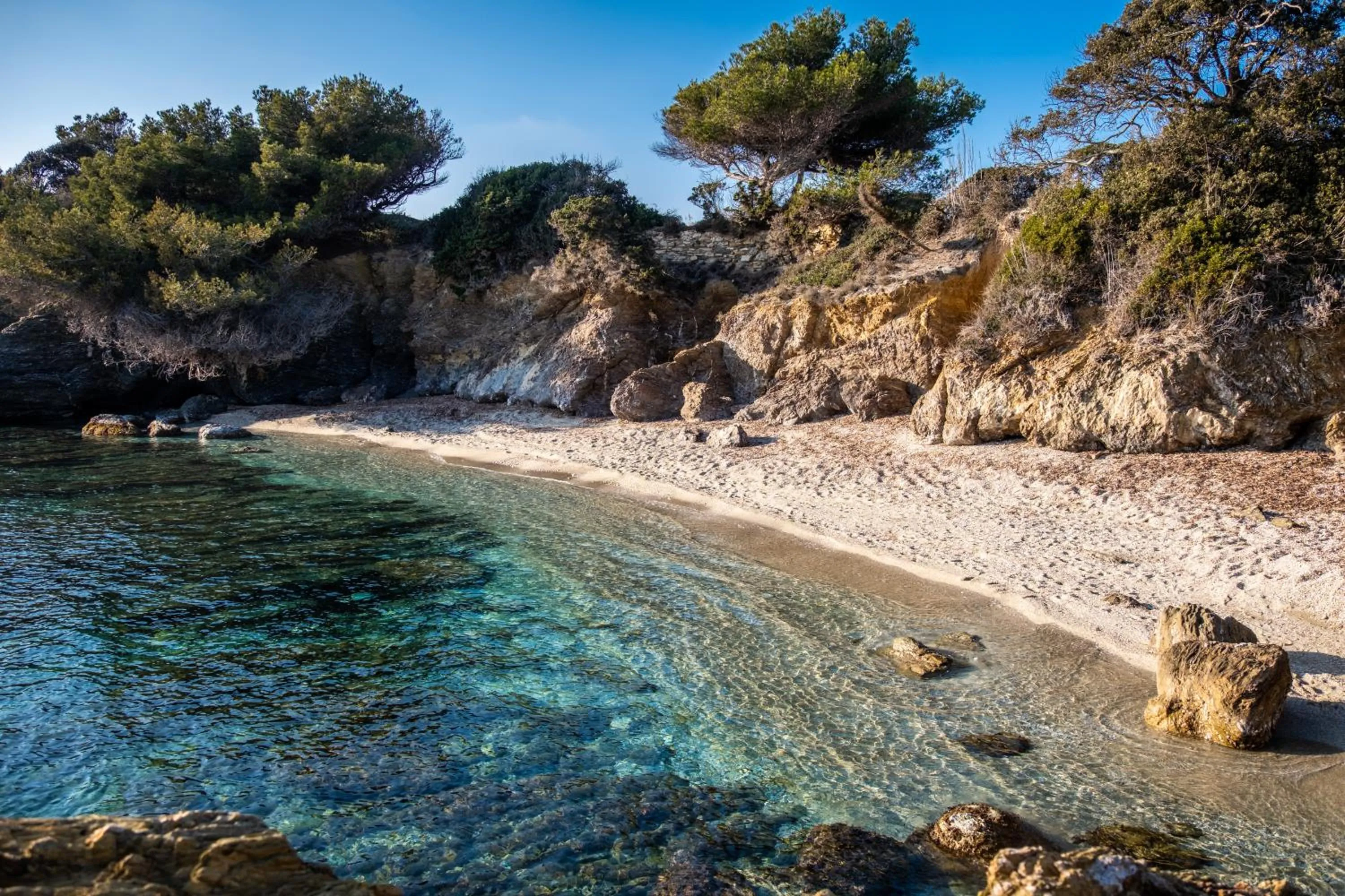 Natural landscape in Hôtel Helios & SPA - Ile des Embiez