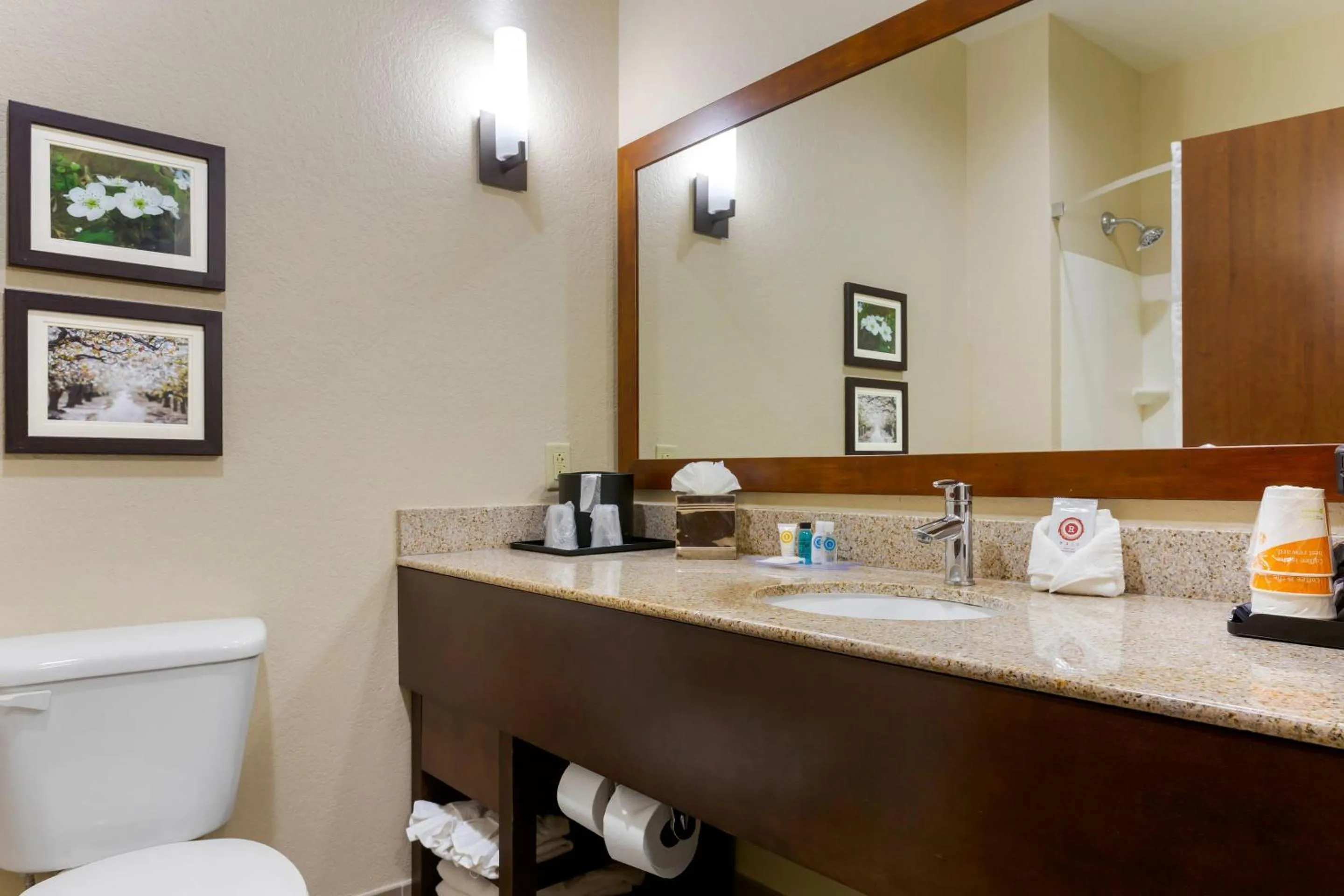 Bathroom in Comfort Suites Little Rock West