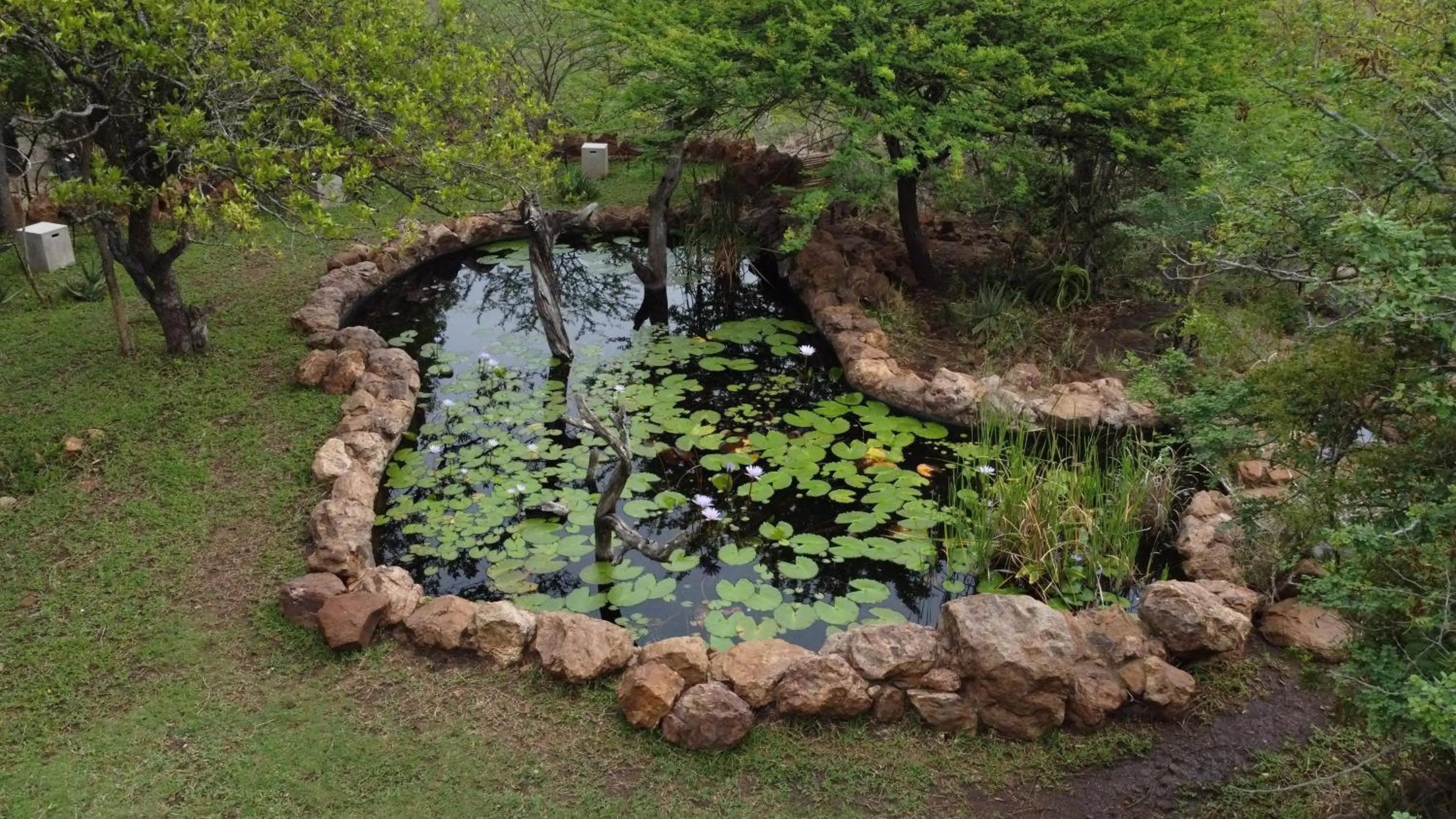Garden view in Leopard Mountain Safari Lodge