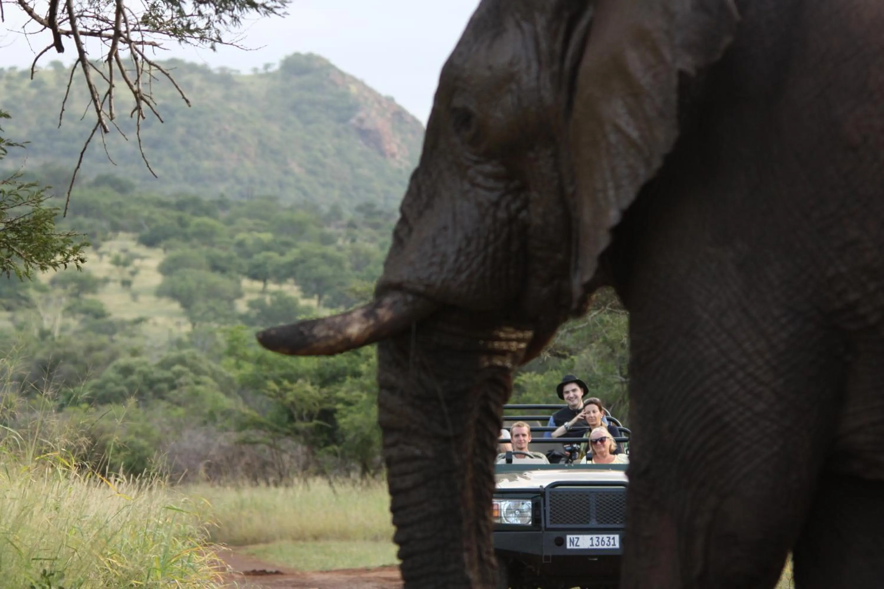 Activities in Leopard Mountain Safari Lodge