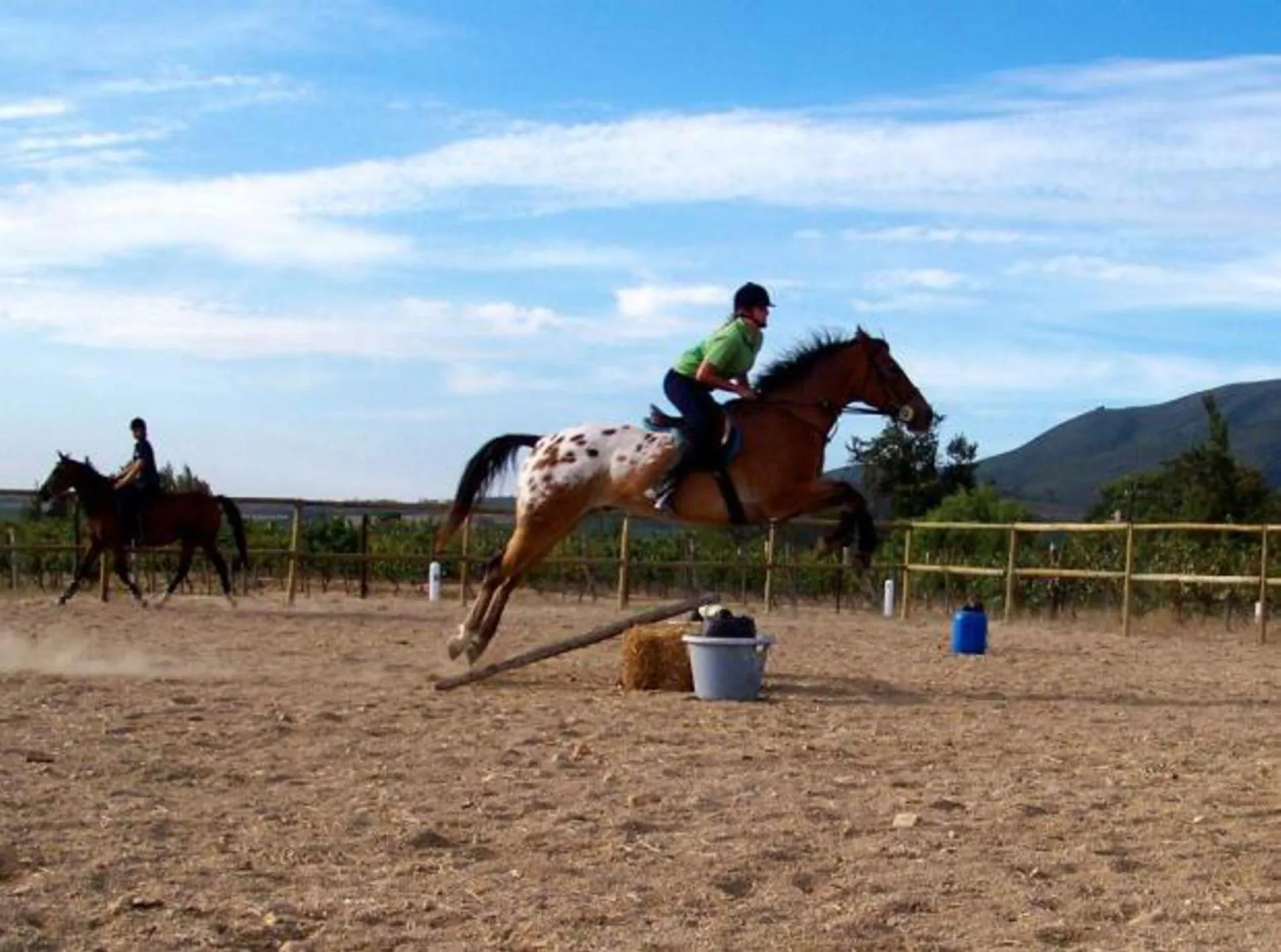 Horse-riding in Oude Wellington Estate