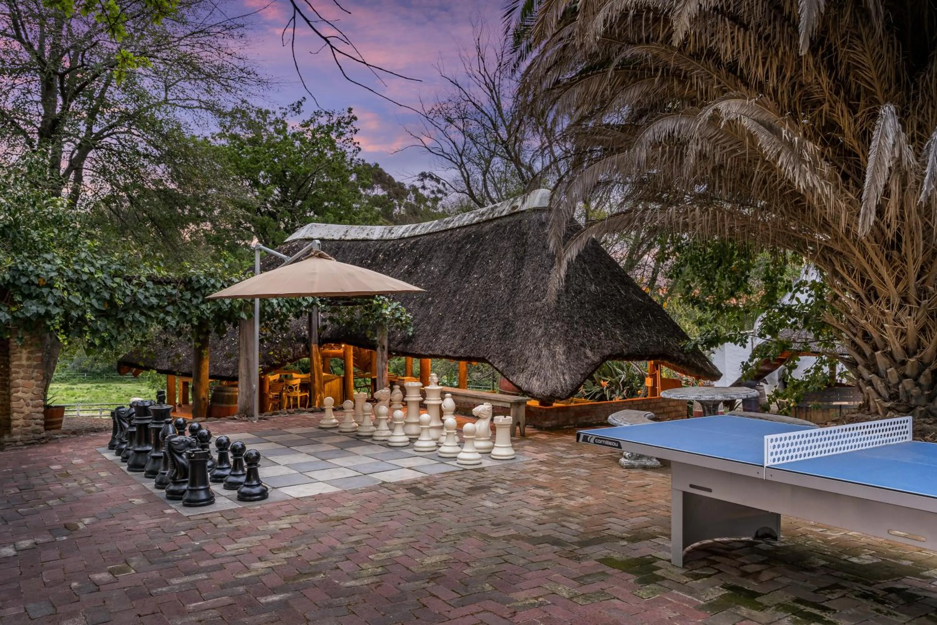 Game Room in Oude Wellington Estate