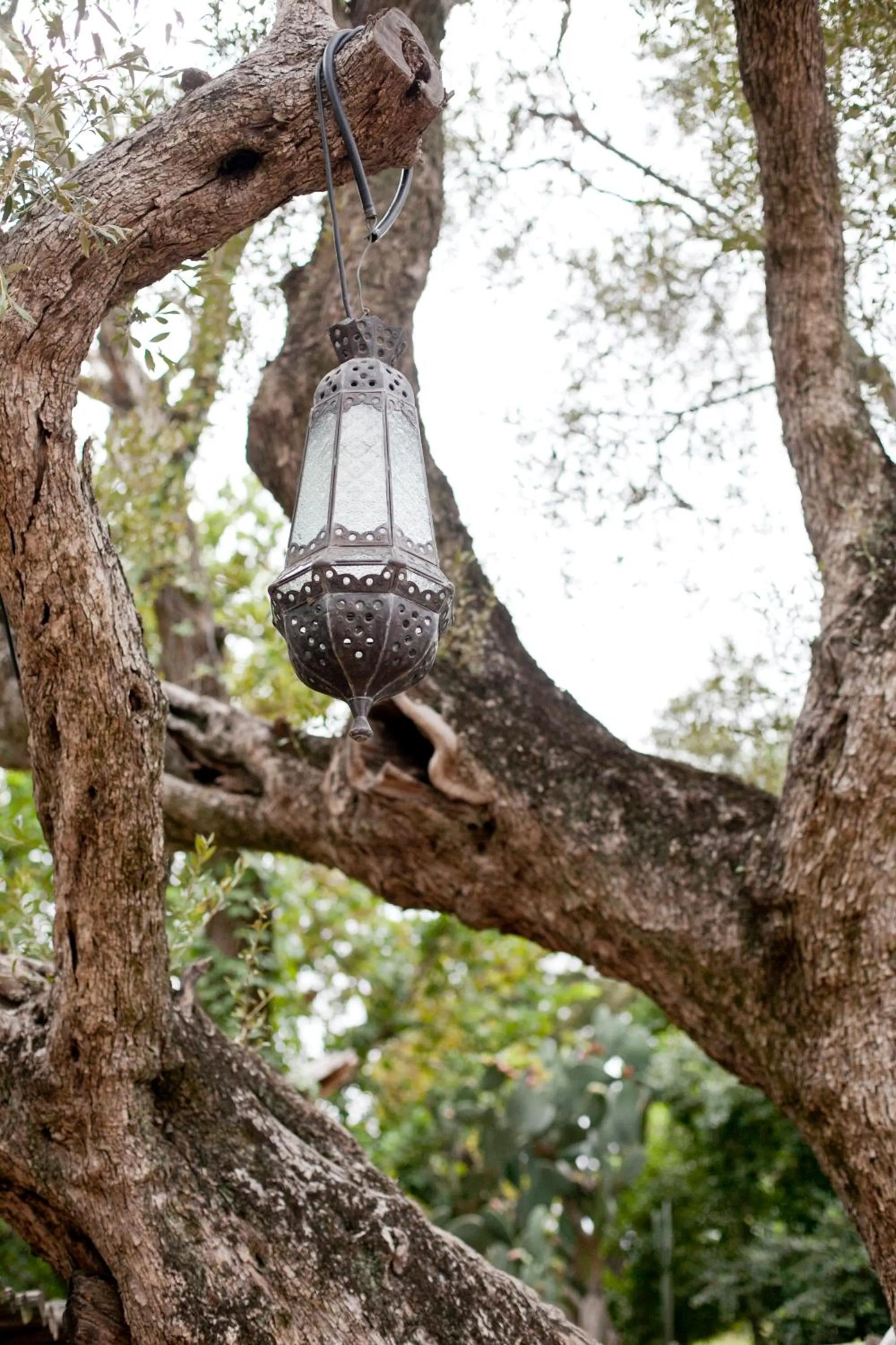 Decorative detail in Oude Wellington Estate