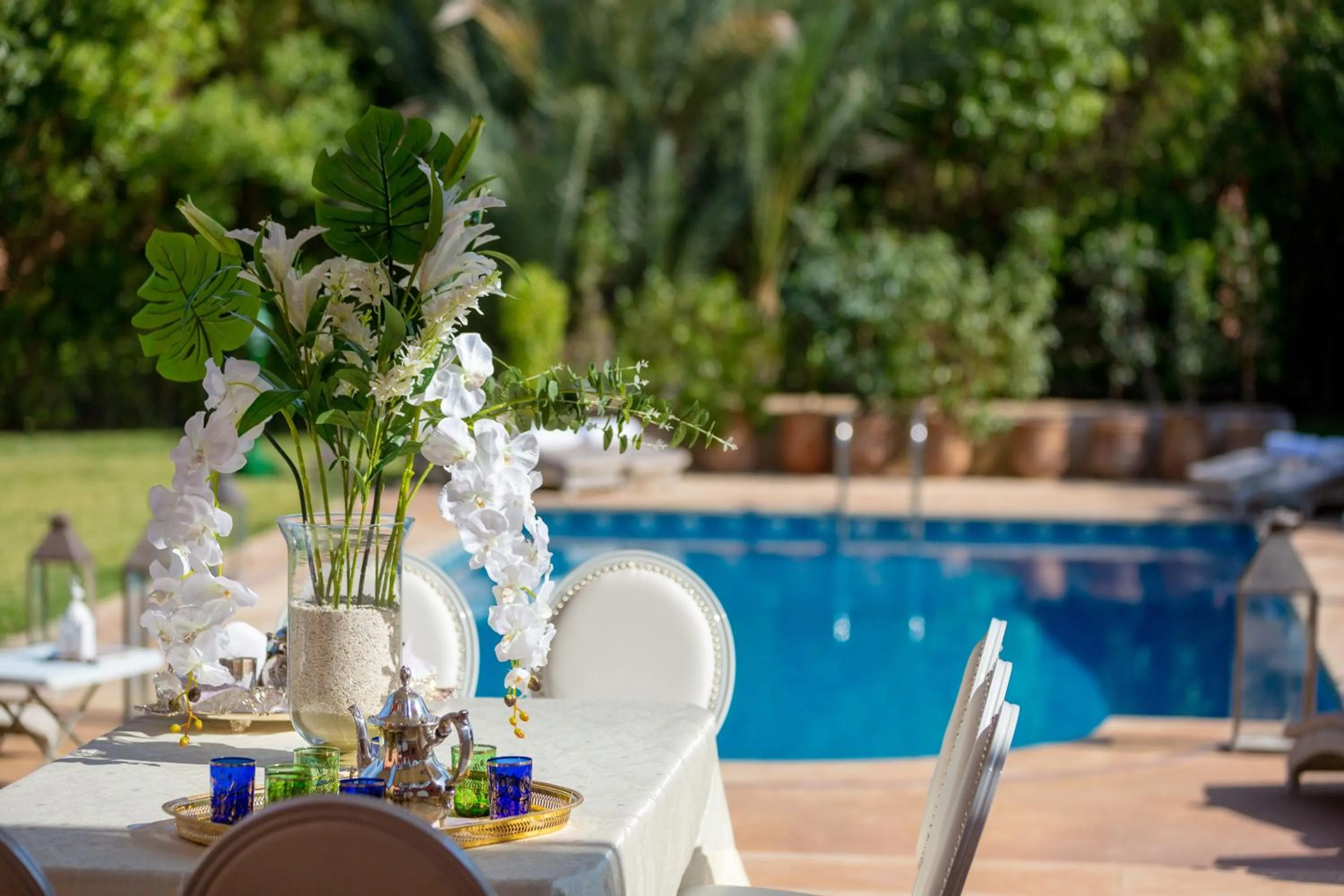 Day in Domaine Rosaroum