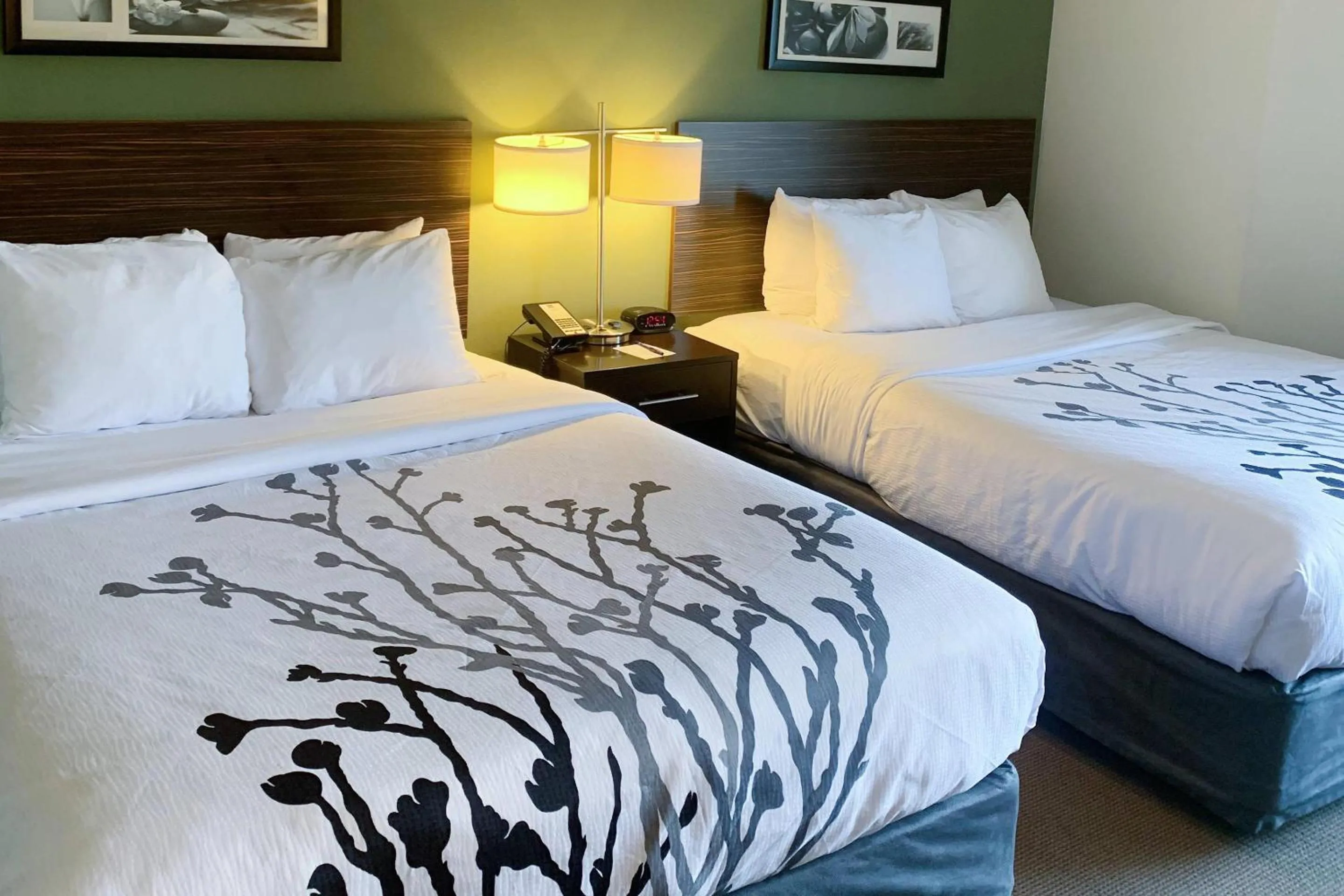 Queen Room with Two Queen Beds - Non-Smoking in Sleep Inn & Suites Queensbury - Lake George