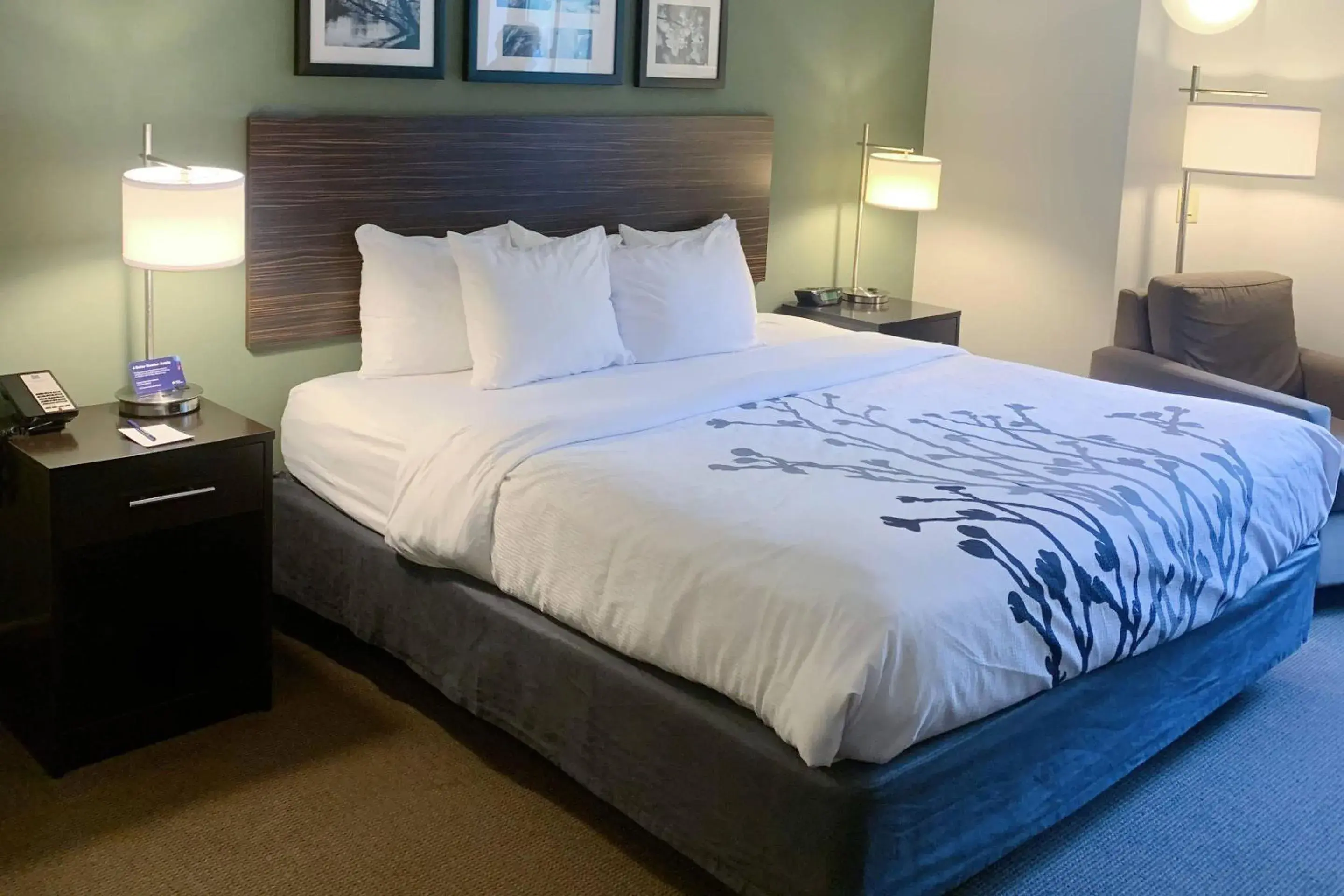 King Room - Non-Smoking in Sleep Inn & Suites Queensbury - Lake George King Room - Non-Smoking in Sleep Inn & Suites Queensbury - Lake George