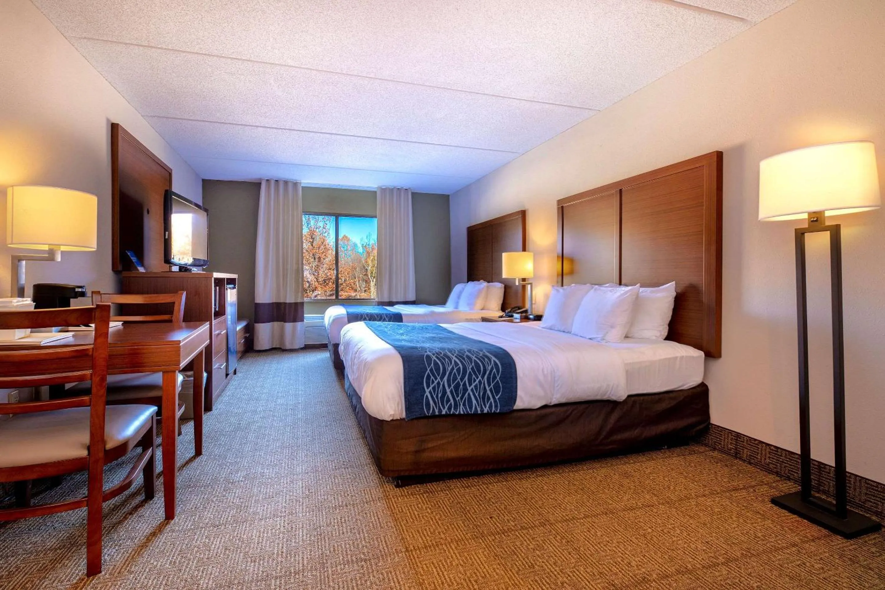 Photo of the whole room, Bed in Comfort Inn Near Quantico Main Gate North