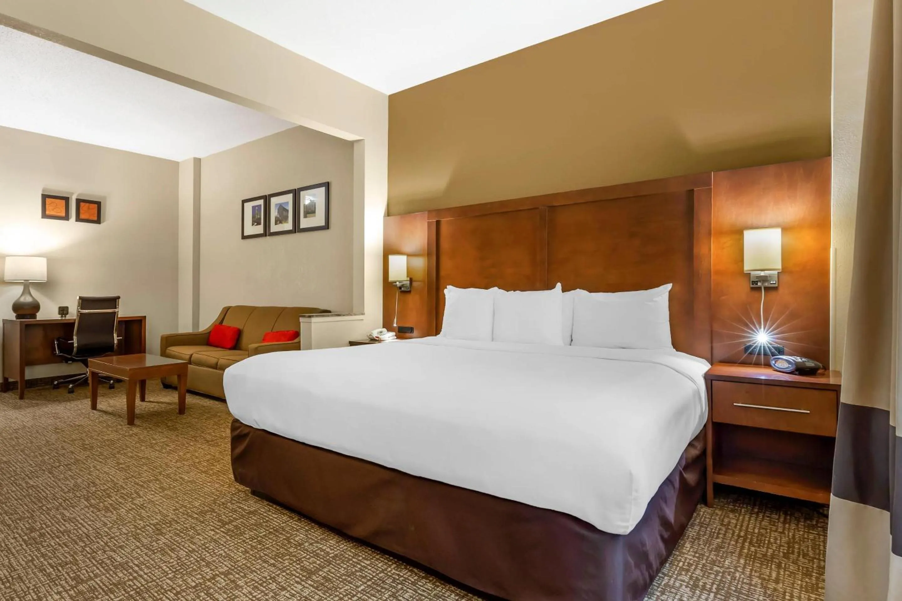 Bedroom, Bed in Comfort Suites Raleigh Walnut Creek