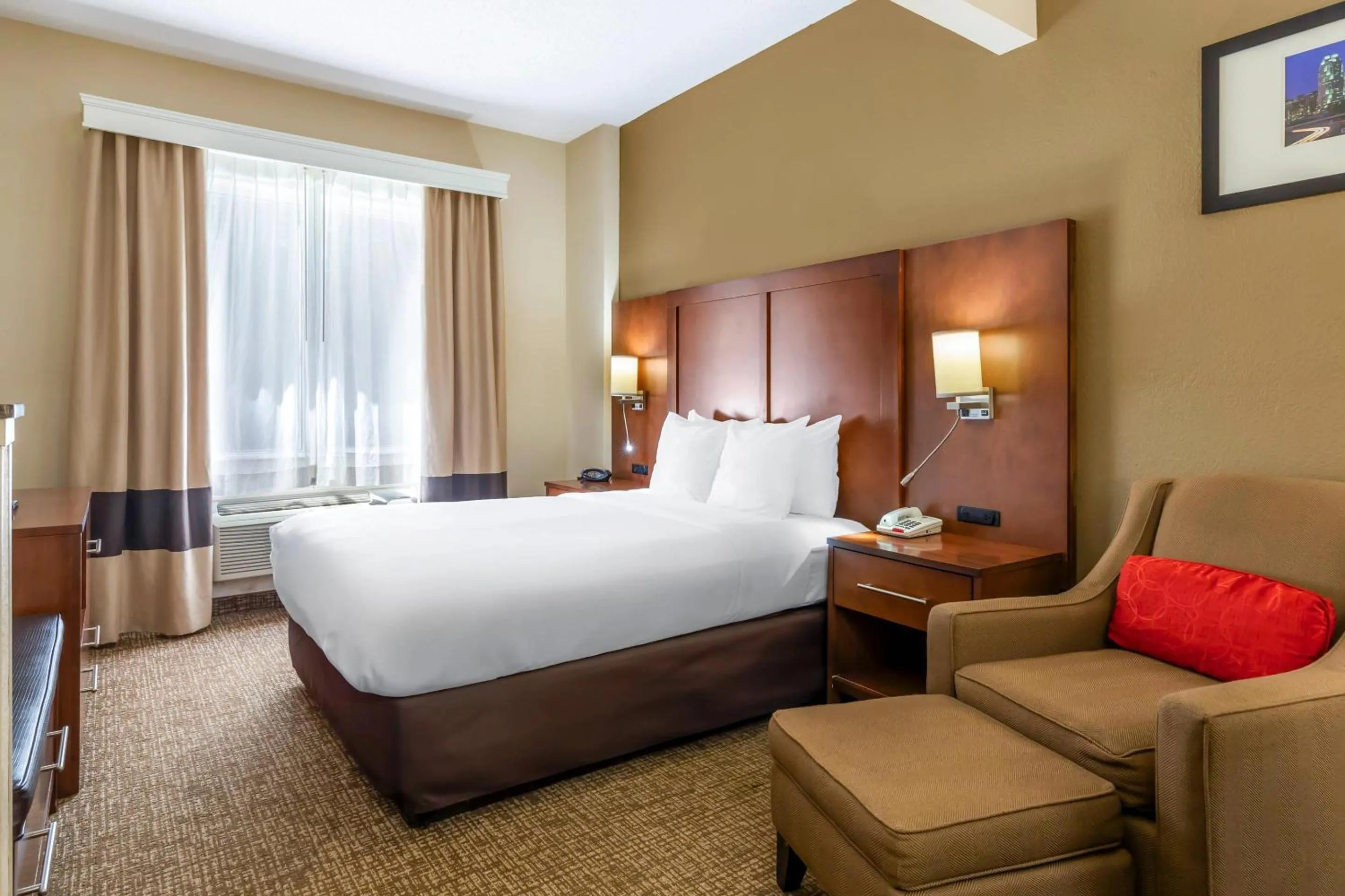 Bedroom, Bed in Comfort Suites Raleigh Walnut Creek