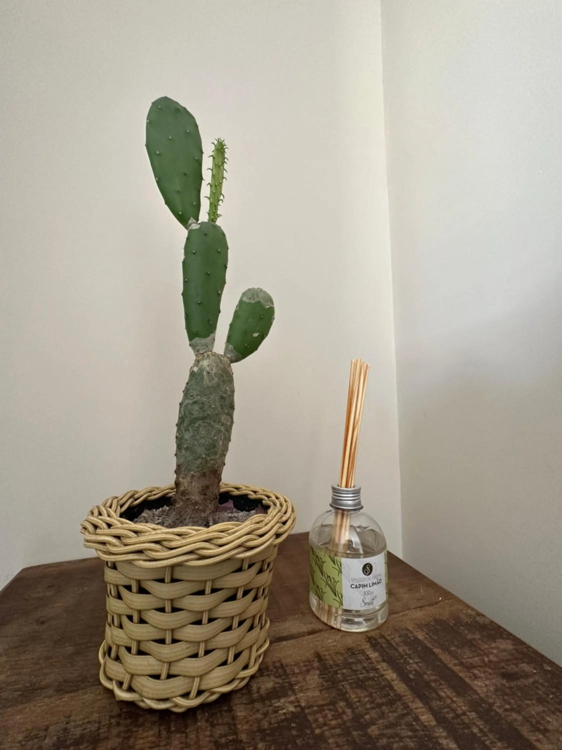 Decorative detail in Pousada Brisa do Mar